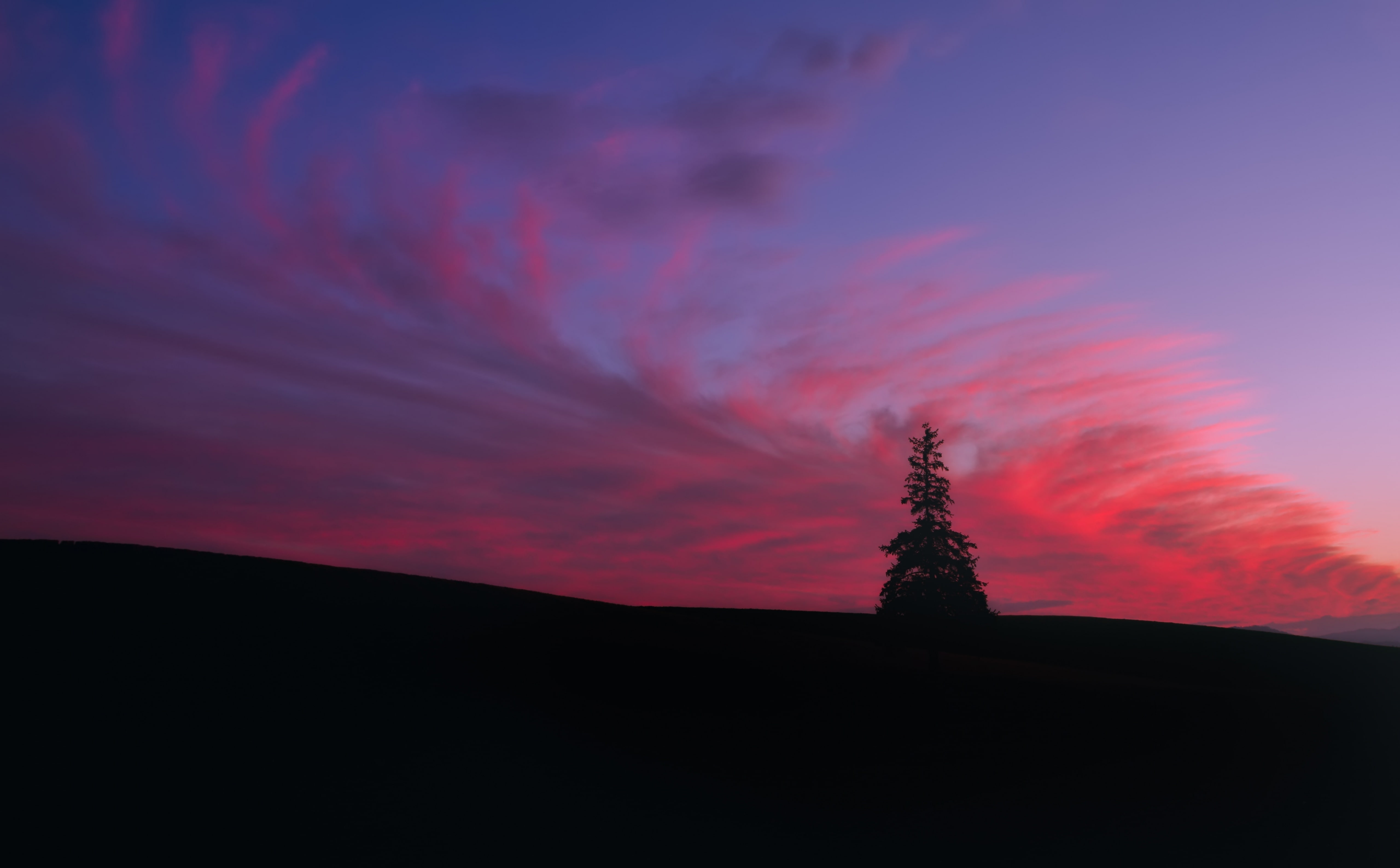 christmastree, pine, tree, 5K, Japan, hokkaido, Sun and Sky, Nature, biei, Sunset, silhouette, Cloudy, HD Wallpaper