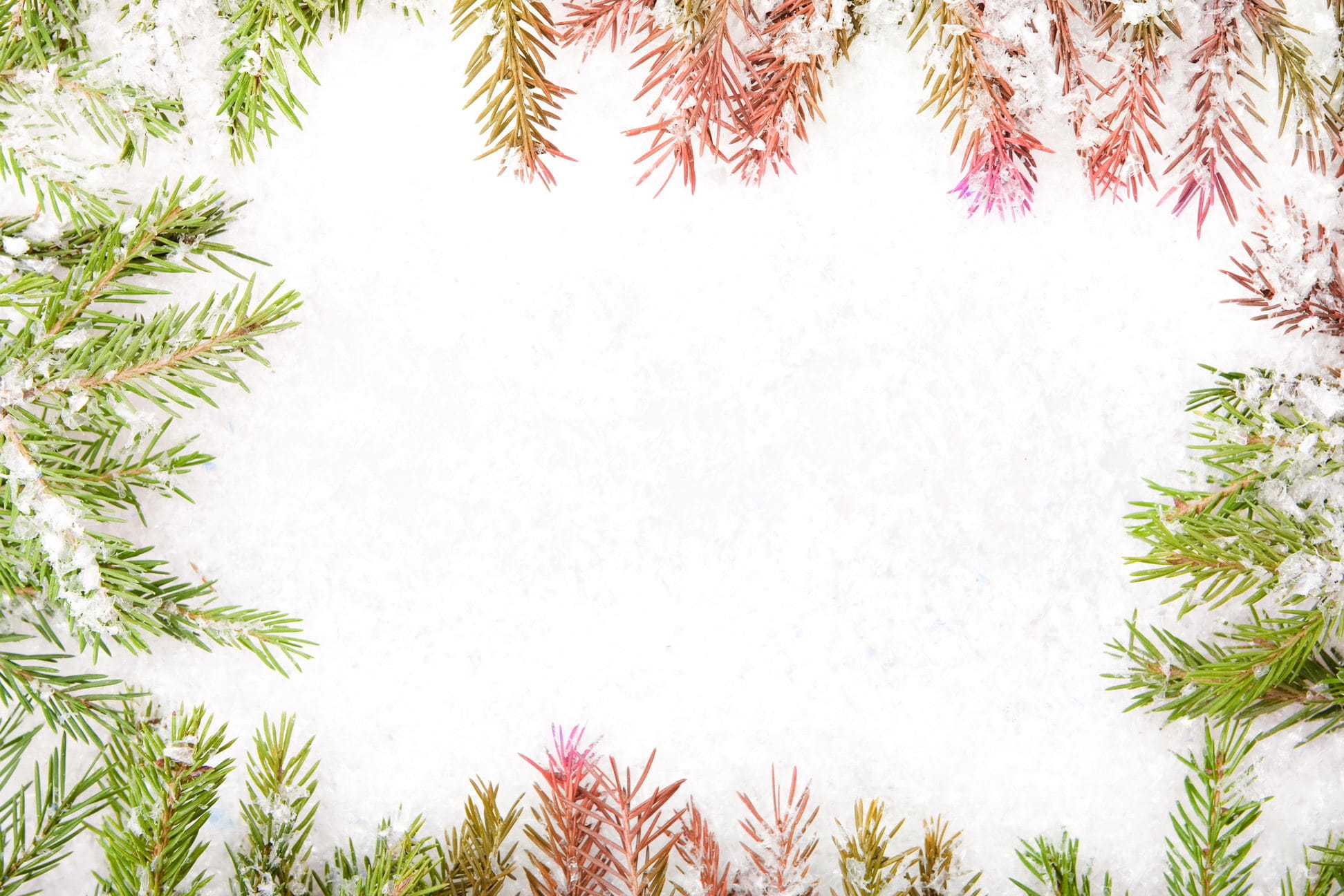 decoration, eve, beauty in nature, nature, tranquility, bright, backgrounds, green color, snow, leaf, tree, white color, season, cold temperature, 1080P, HD Wallpaper