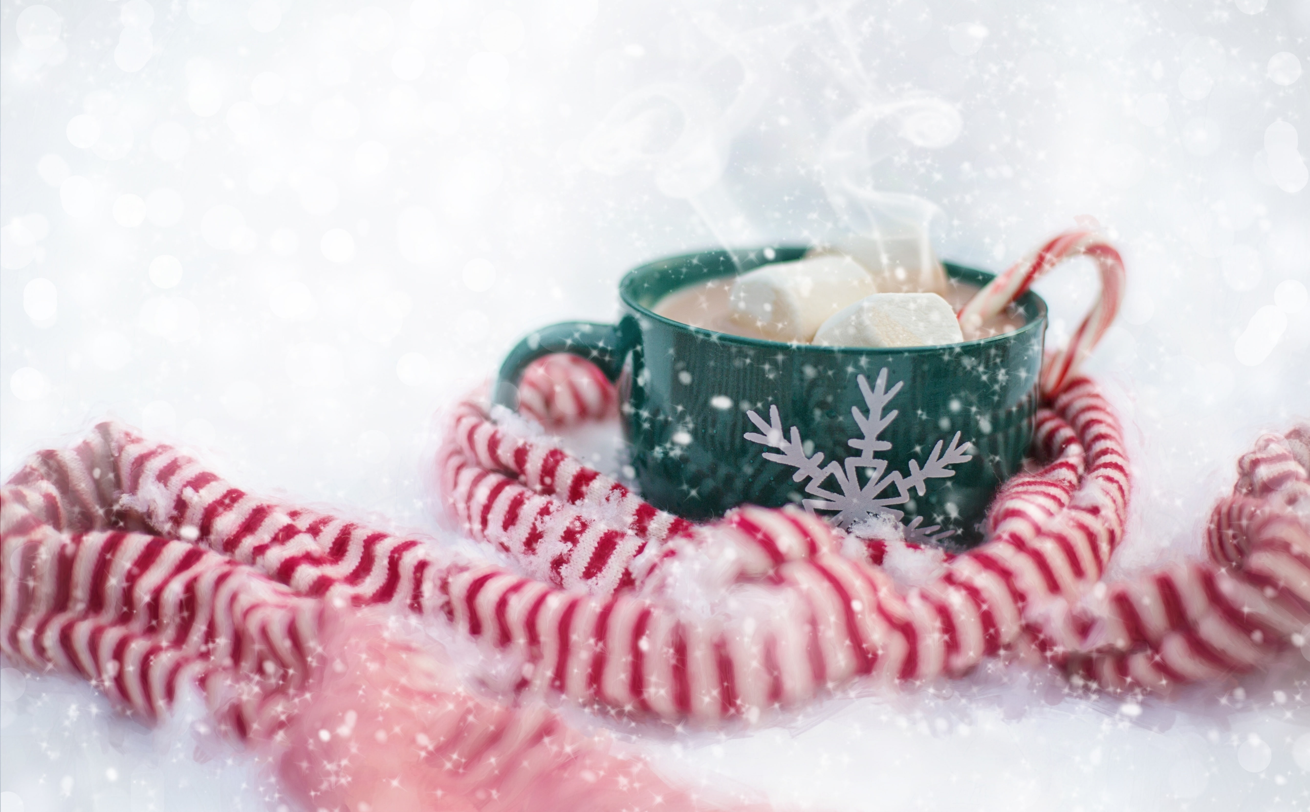 delicious, Winter, Holidays, close-up, marshmallows, snowing, nature, green, human body part, 5K, celebration, Chocolate, Snow, food, Xmas, clothing, refreshment, HD Wallpaper