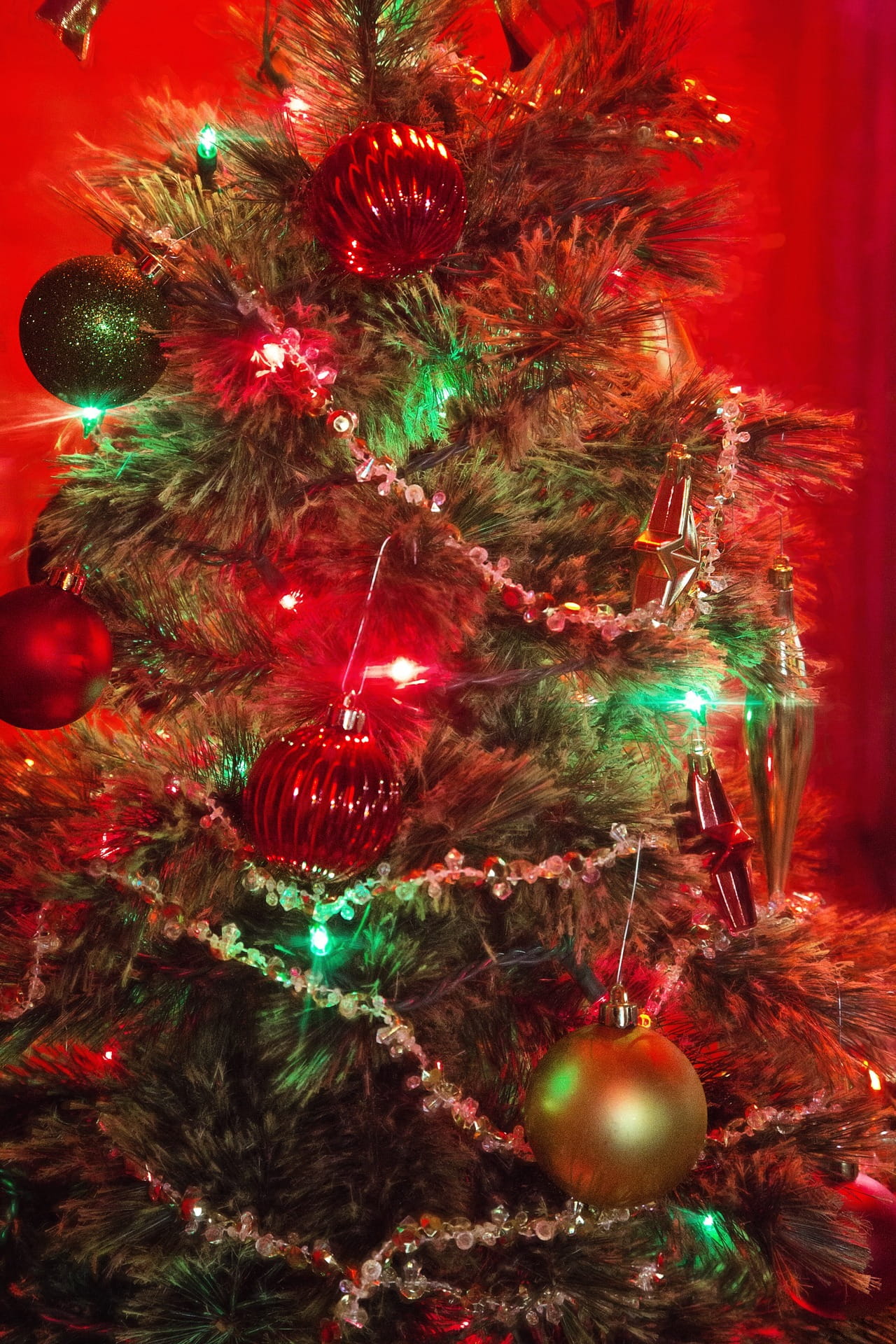 plant, christmas decoration, ornate, celebration event, celebrate, decoration, illuminated, balls, red, christmastree, baubles, christmas ornament, lights, Phone HD Wallpaper