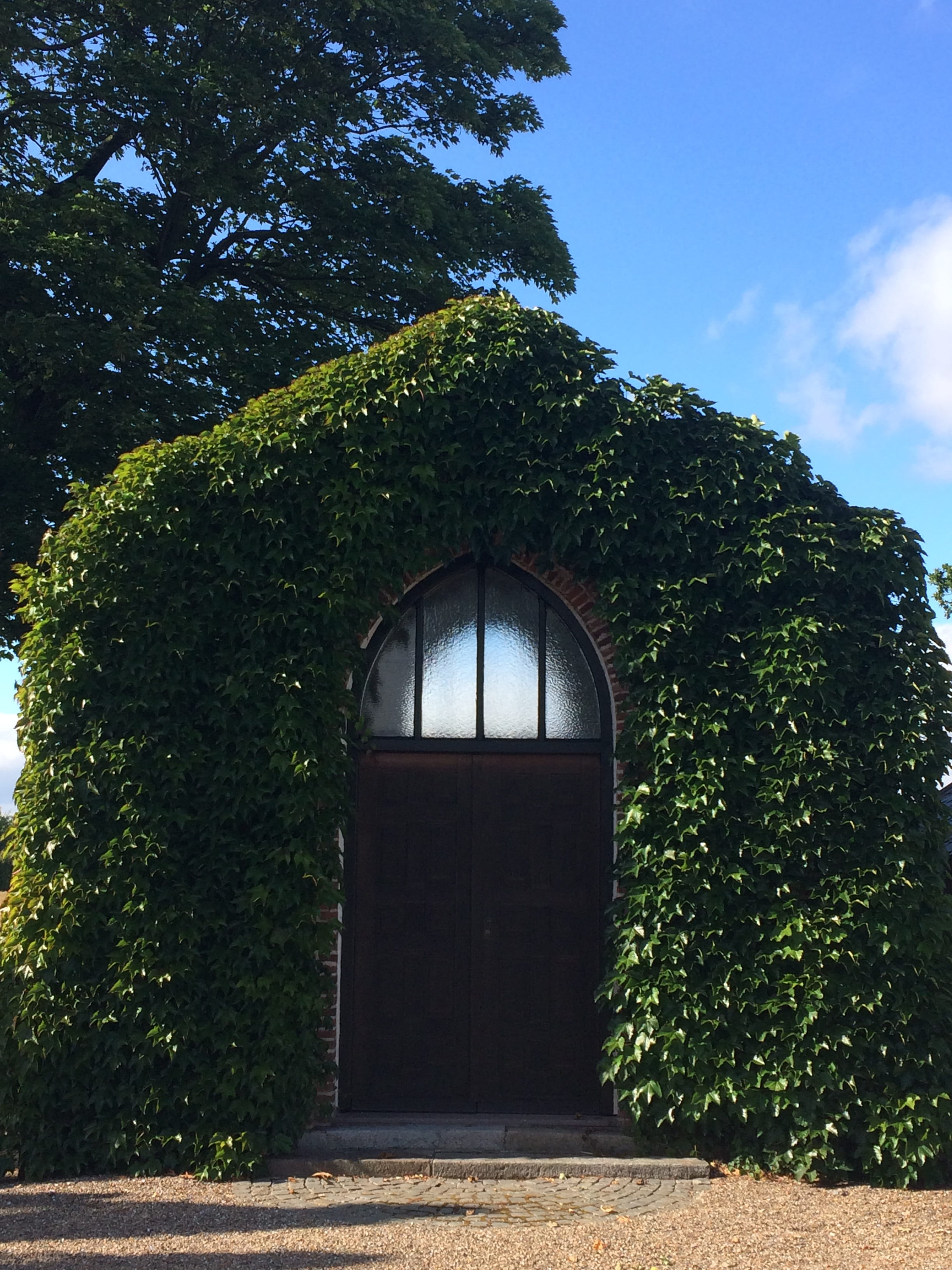 tree, sky, portal, built structure, architecture, building, light, closed, front, nature, input, green color, arch, ivy, cemetery, door, hedge, building exterior, Phone HD Wallpaper