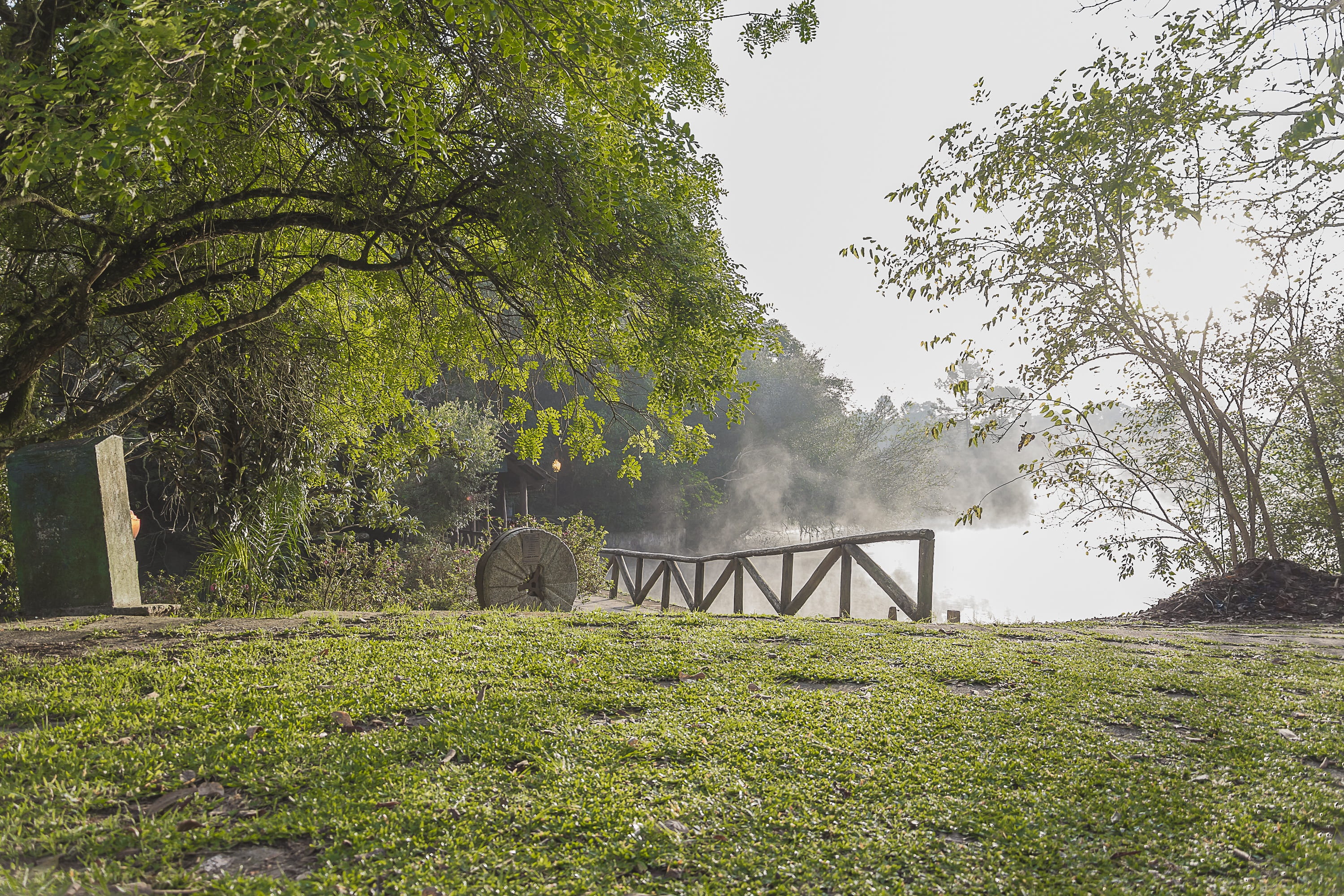 beauty in nature, day, bridge, ze, grass, tree, station, outdoors, araucaria, no people, 2K, field, built structure, animal, animal themes, time, architecture, HD Wallpaper