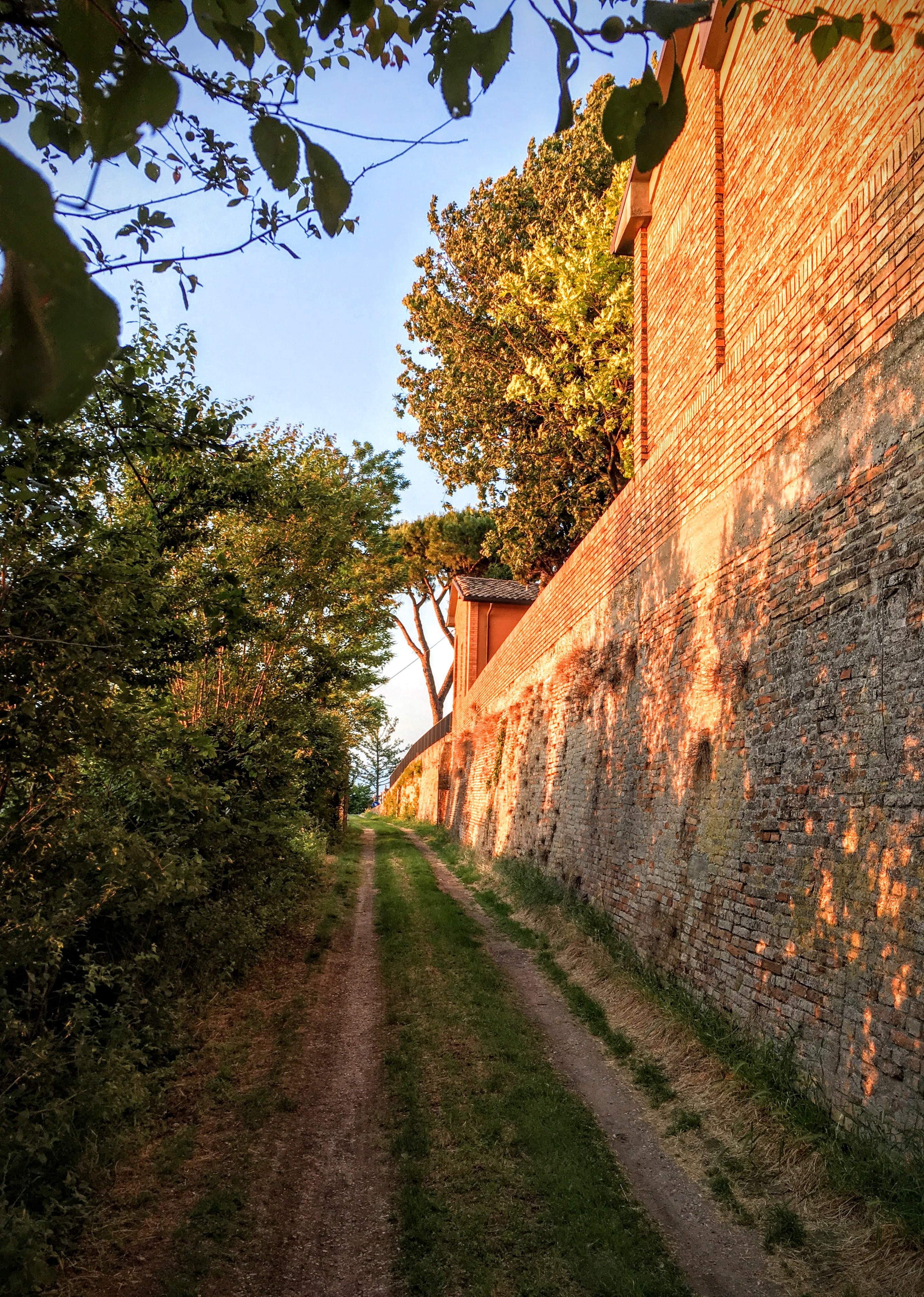 way, the way forward, transportation, country, no people, building exterior, nature, footpath, trees, cesena, road, church, sunlight, street, plant, sky, Phone HD Wallpaper