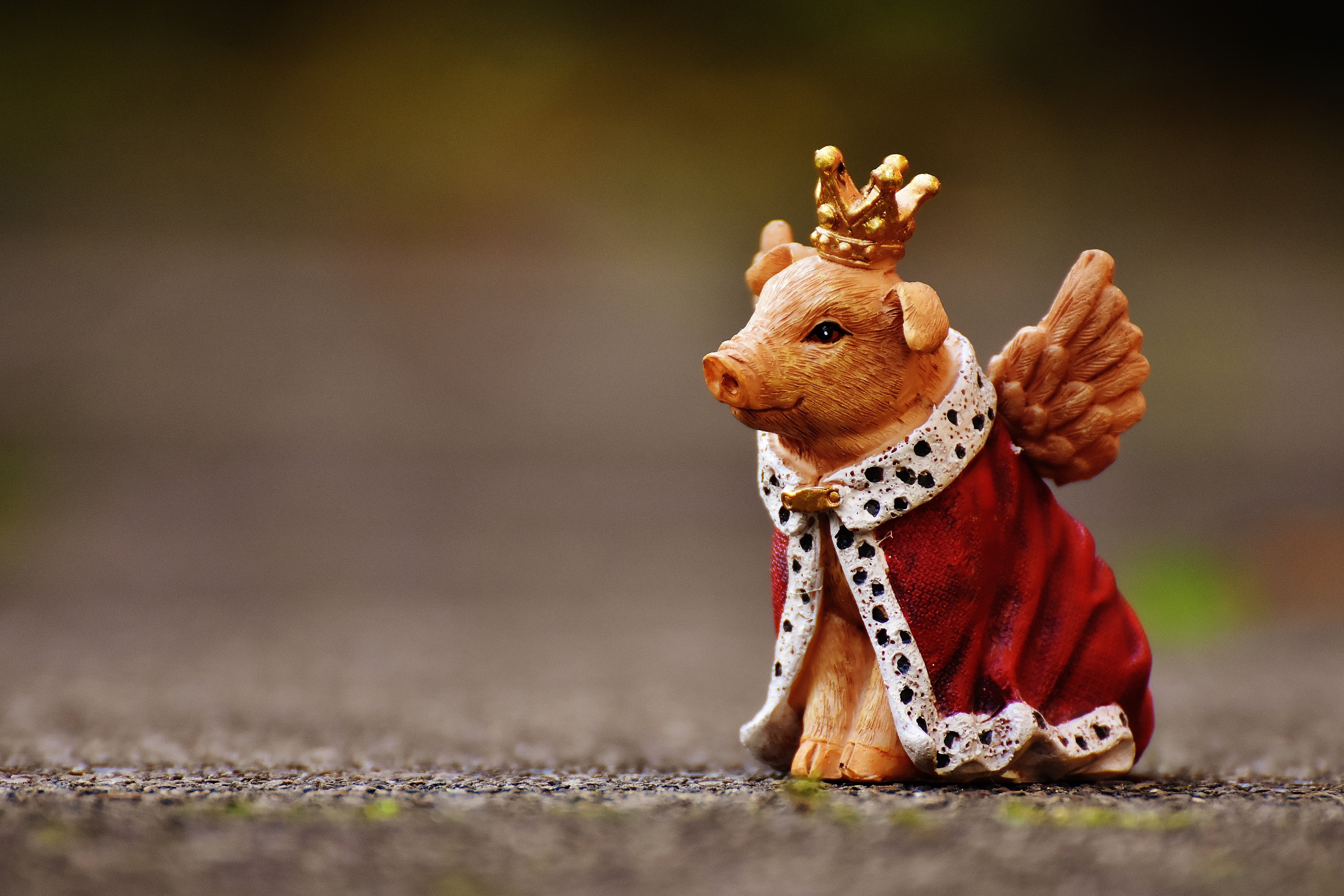 pig, celebration, full length, lucky pig, christmas, decorative, red, no people, one animal, domestic animals, guardian angel, pets, animal, animal representation, HD Wallpaper