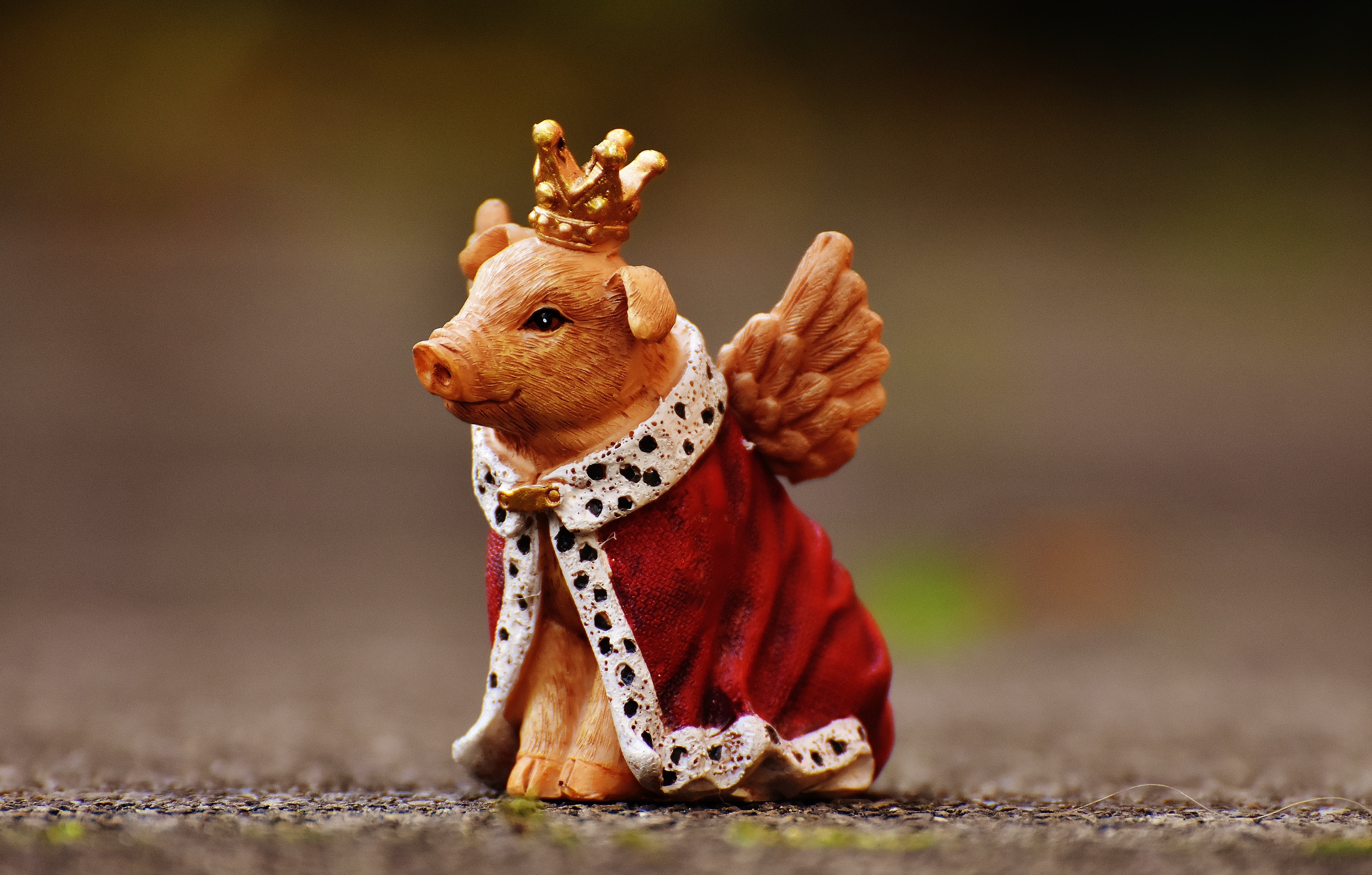 decorative, lucky pig, figurine, mammal, art and craft, figure, crown, funny, angel, animal wildlife, animal, small, piglet, stuffed toy, angel figure, HD Wallpaper