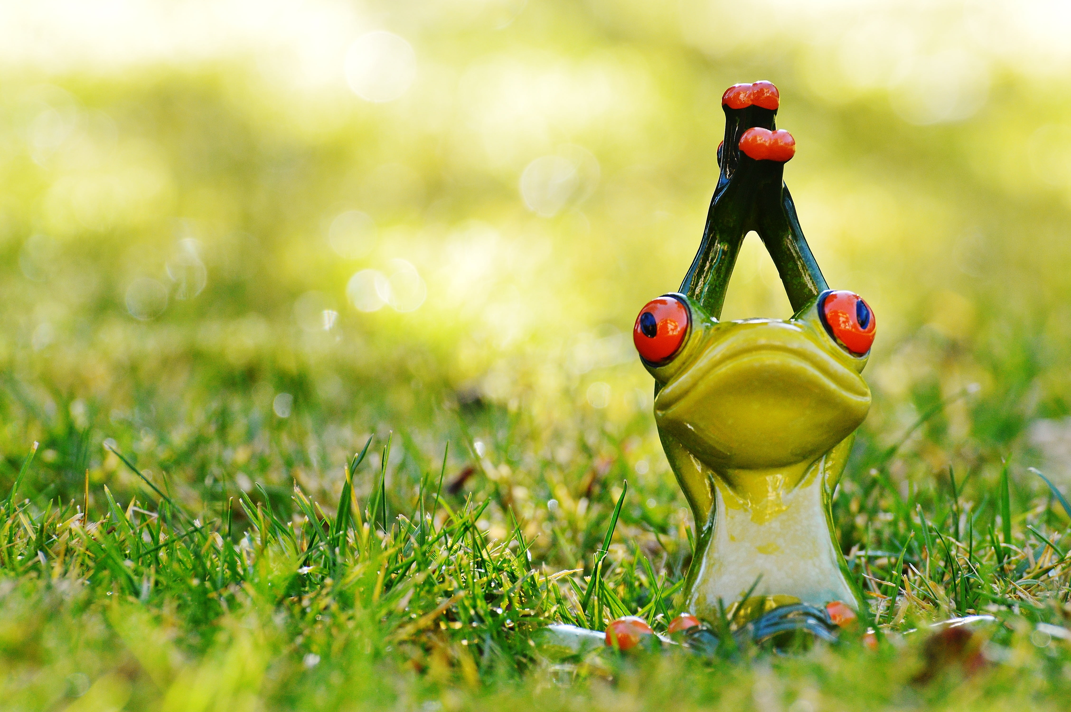 day, plant, nature, animal themes, shallow, wildlife, green, meadow, no people, yoga, selective focus, figure, photography, ceramic, animal representation, HD Wallpaper