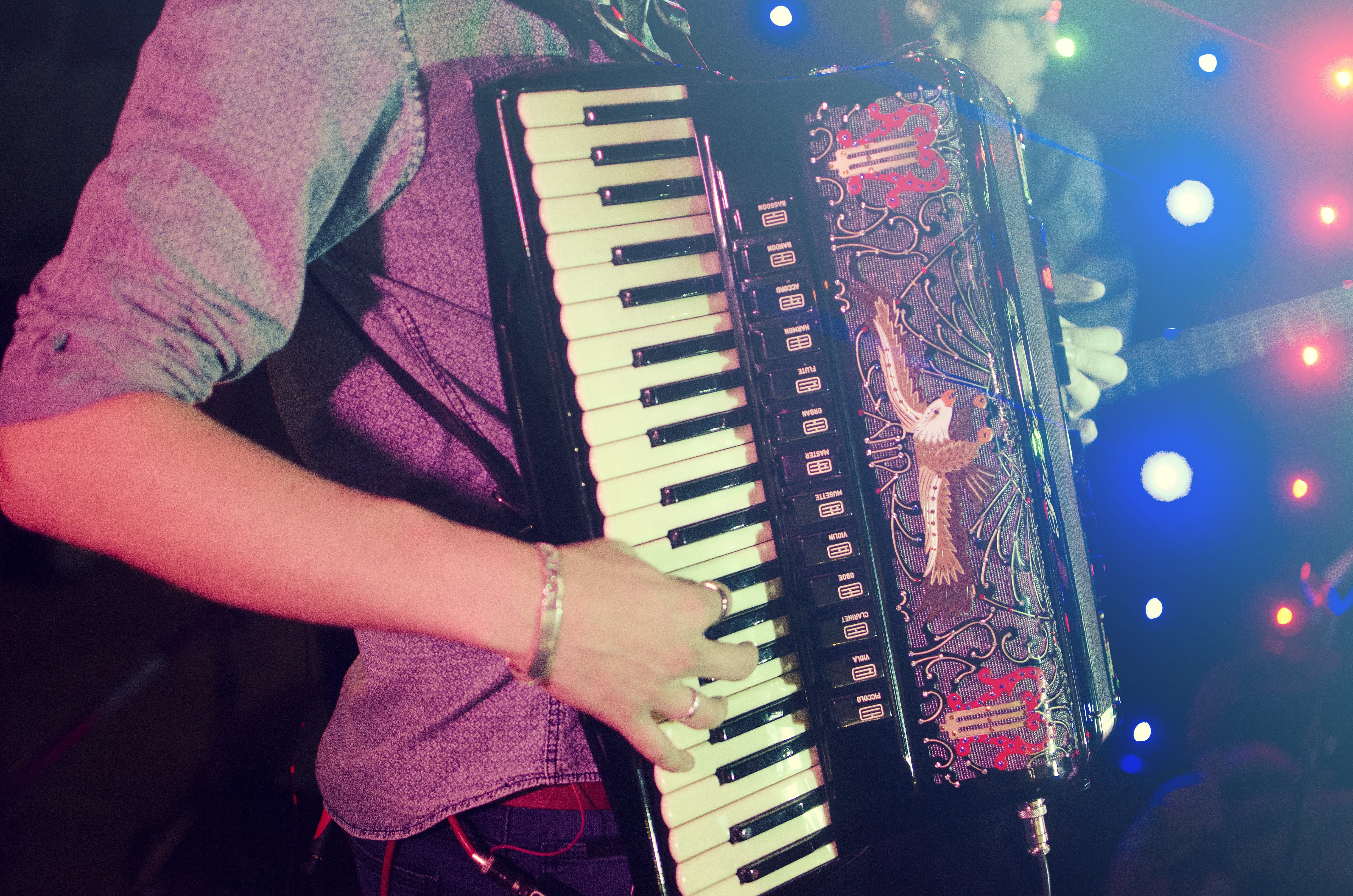 harmonica, focus on foreground, keyboard, lifestyles, nightlife, adult, piano key, leisure activity, midsection, keyboard instrument, 4K, acordeon, finger, HD Wallpaper
