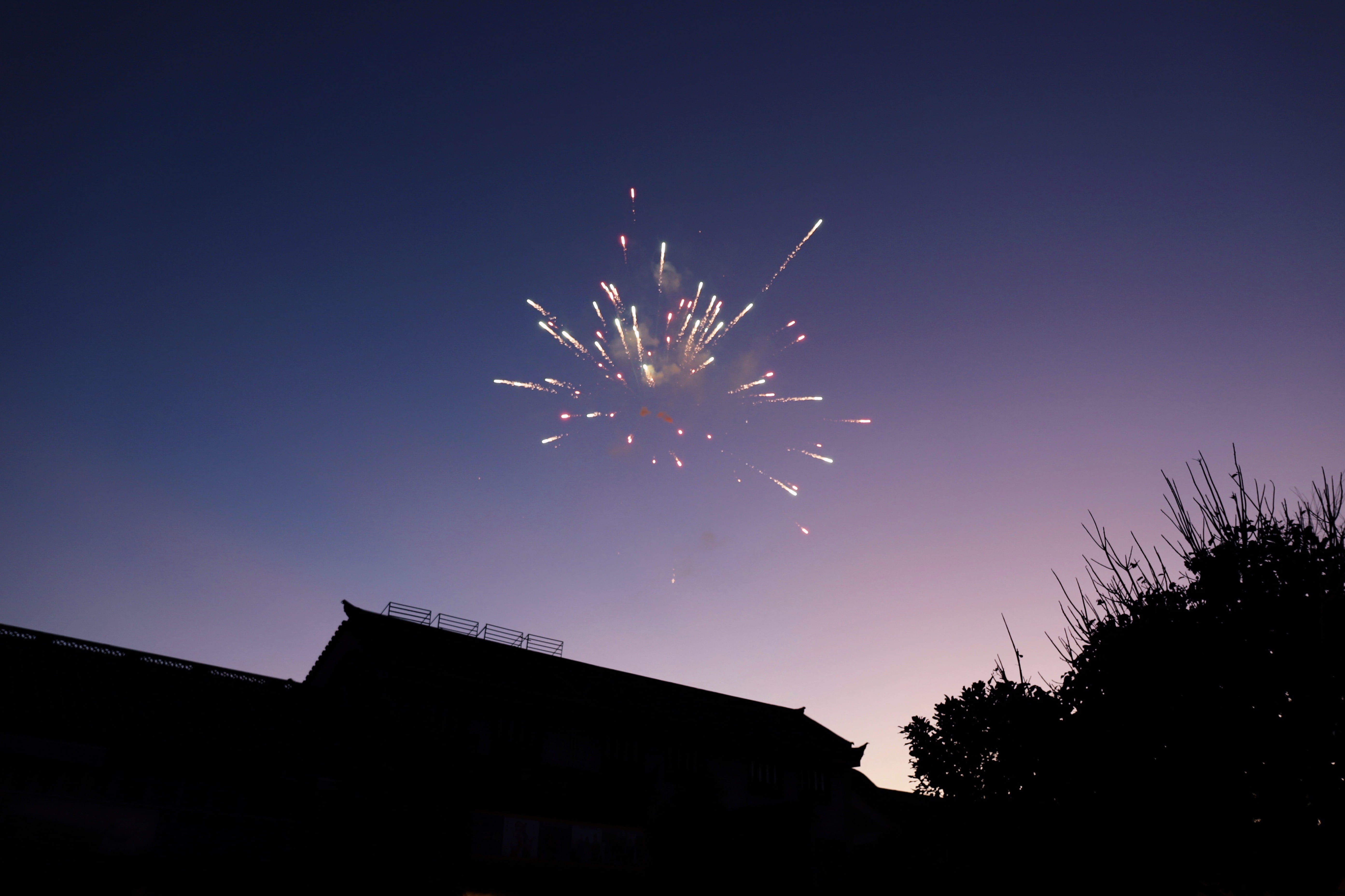 pink, building exterior, no people, firework - man made object, built structure, night, arts culture and entertainment, event, sky, nighttime, nature, high, HD Wallpaper