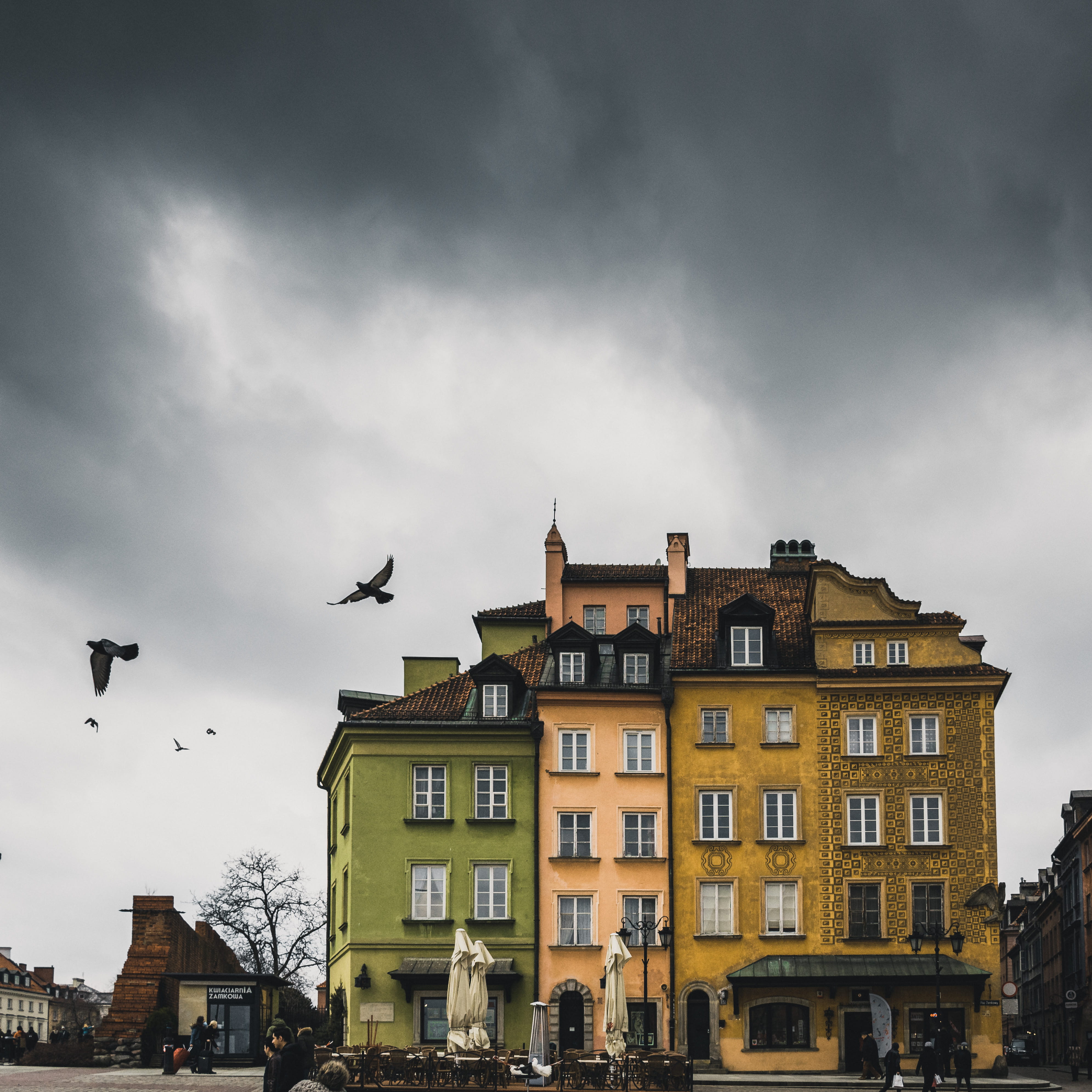 nature, town, bird, outdoors, residential district, no people, beside, animal, group of animals, umbrella, warsaw, concrete, villa, plaza, urban, house, Phone HD Wallpaper