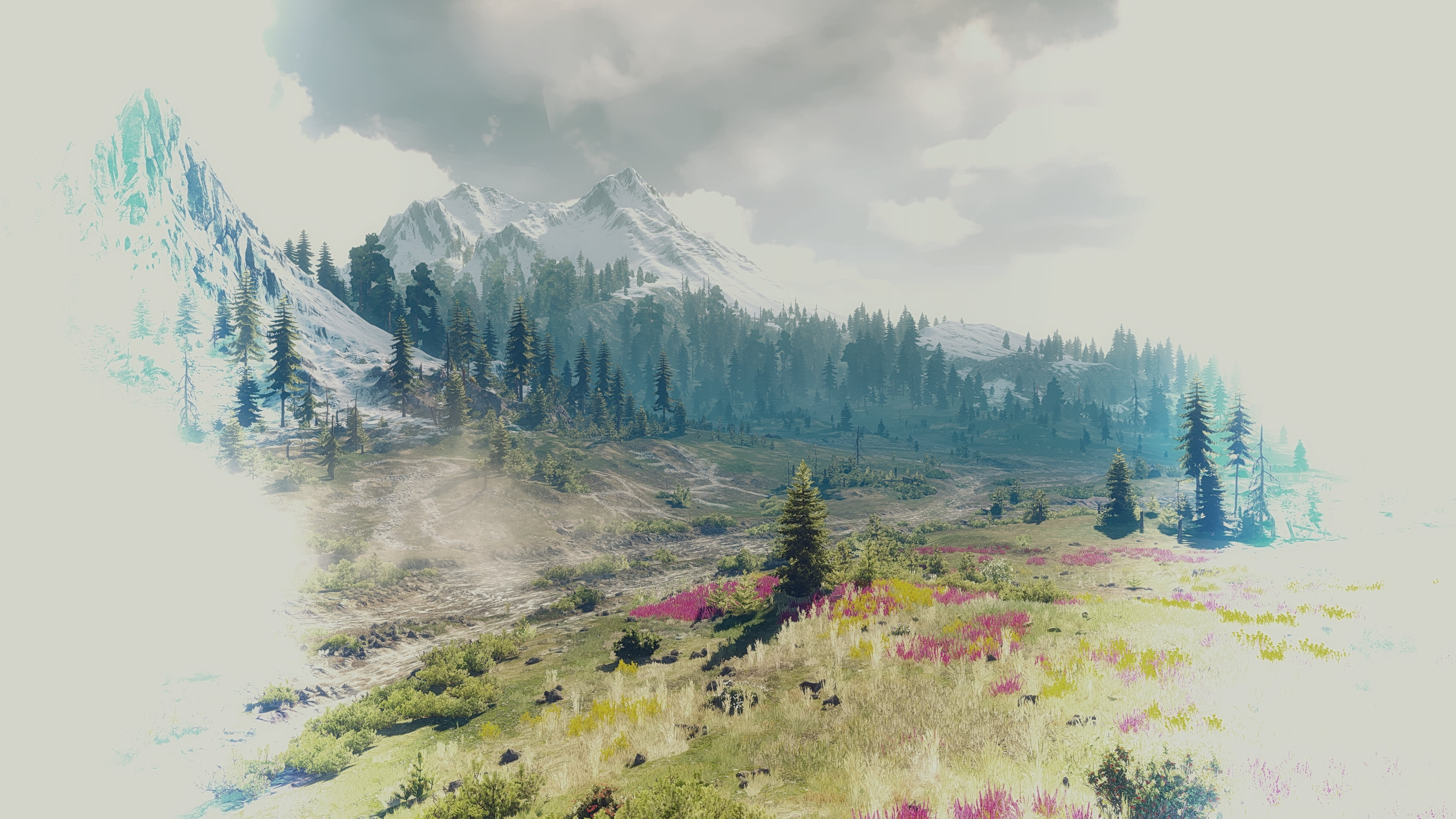 4K, non-urban scene, environment, tranquil scene, clouds, The Witcher 3: Wild Hunt, growth, coniferous tree, nature, landscape, grass, The Witcher, trees, HD Wallpaper
