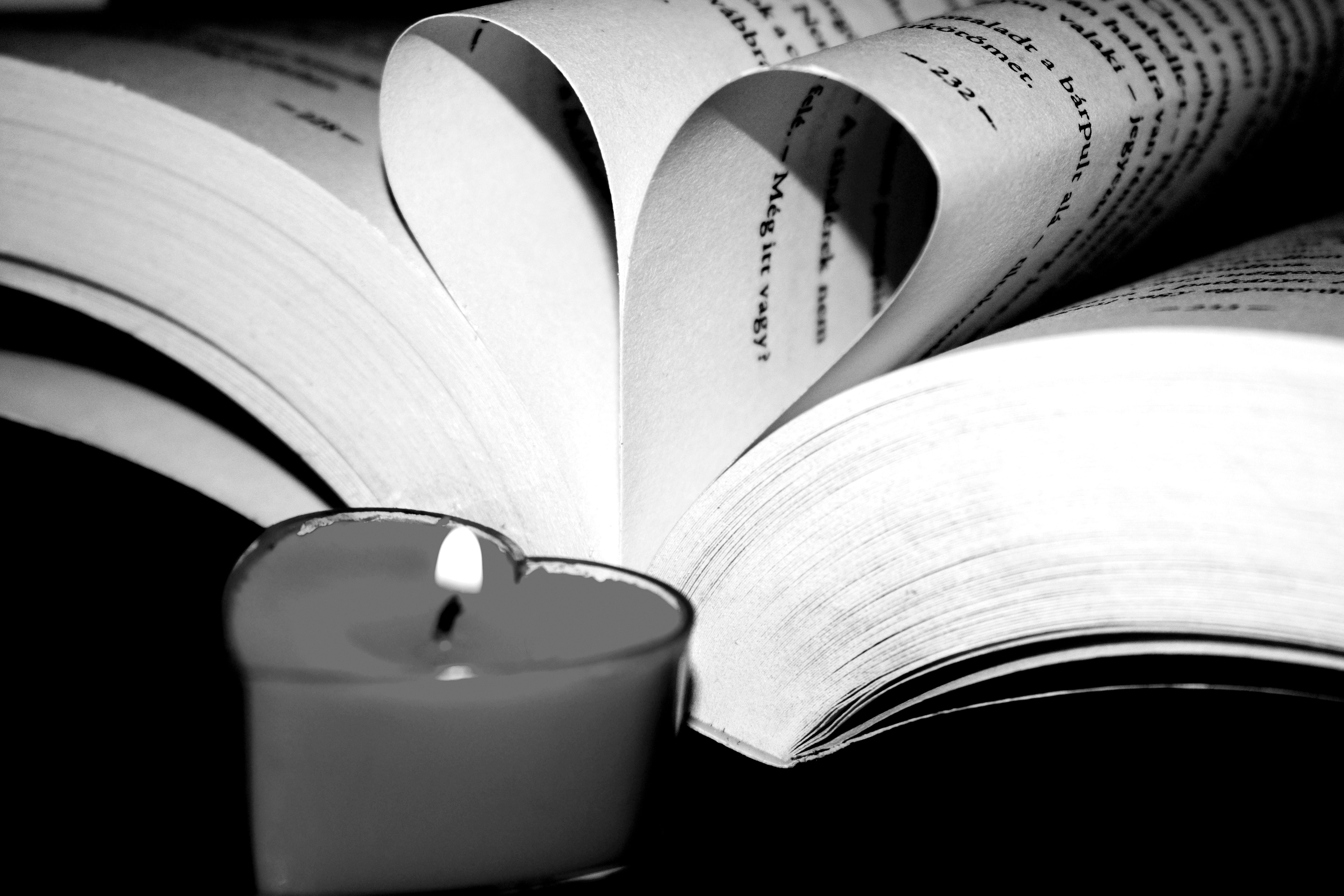flowering plant, petal, page, close-up, love, indoors, white color, candle, no people, paper, nature, still life, fire, book, candle flame, heart, motion, HD Wallpaper