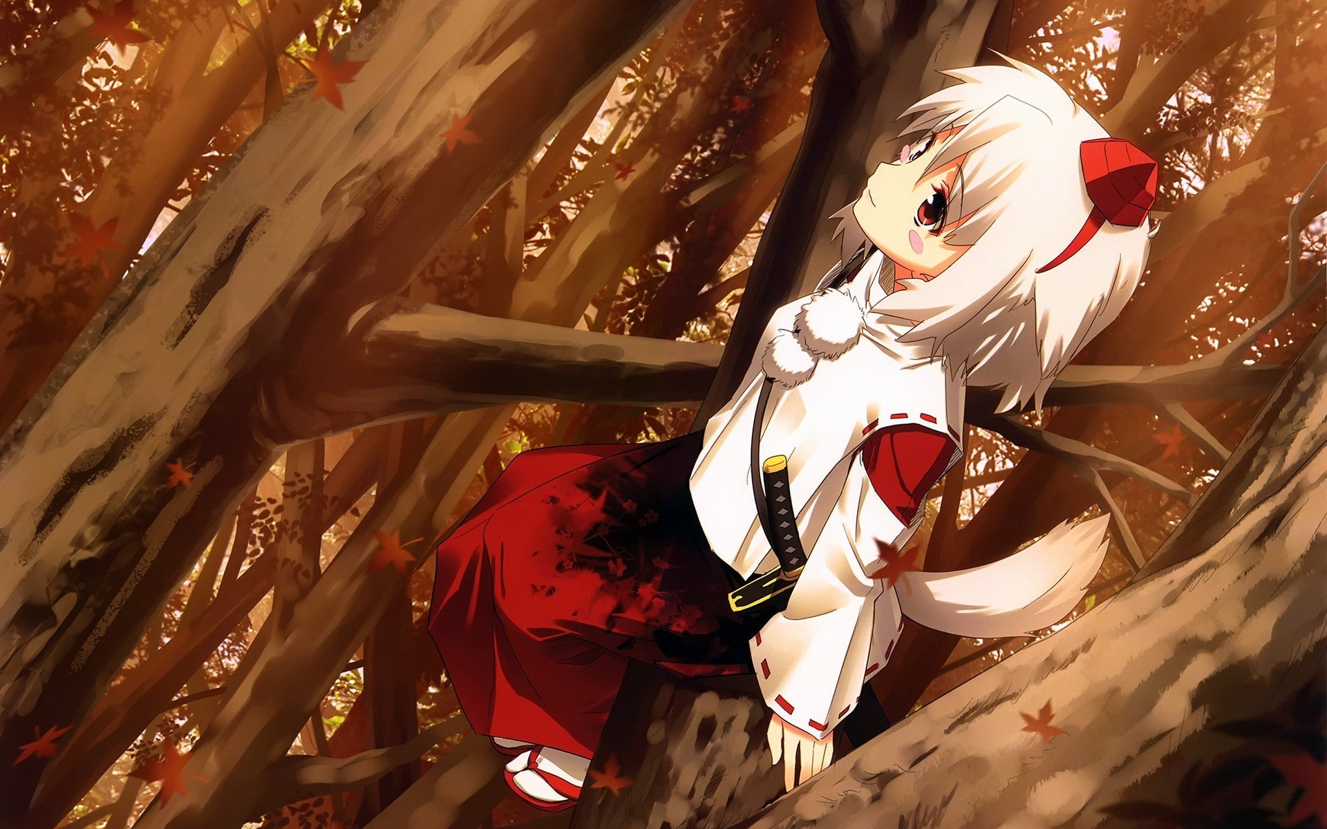 white, women, inubashiri, weapons, swords, hair, anime, animal, touhou, ears, games, tails, momiji, girls, 1080P, tengu, HD Wallpaper