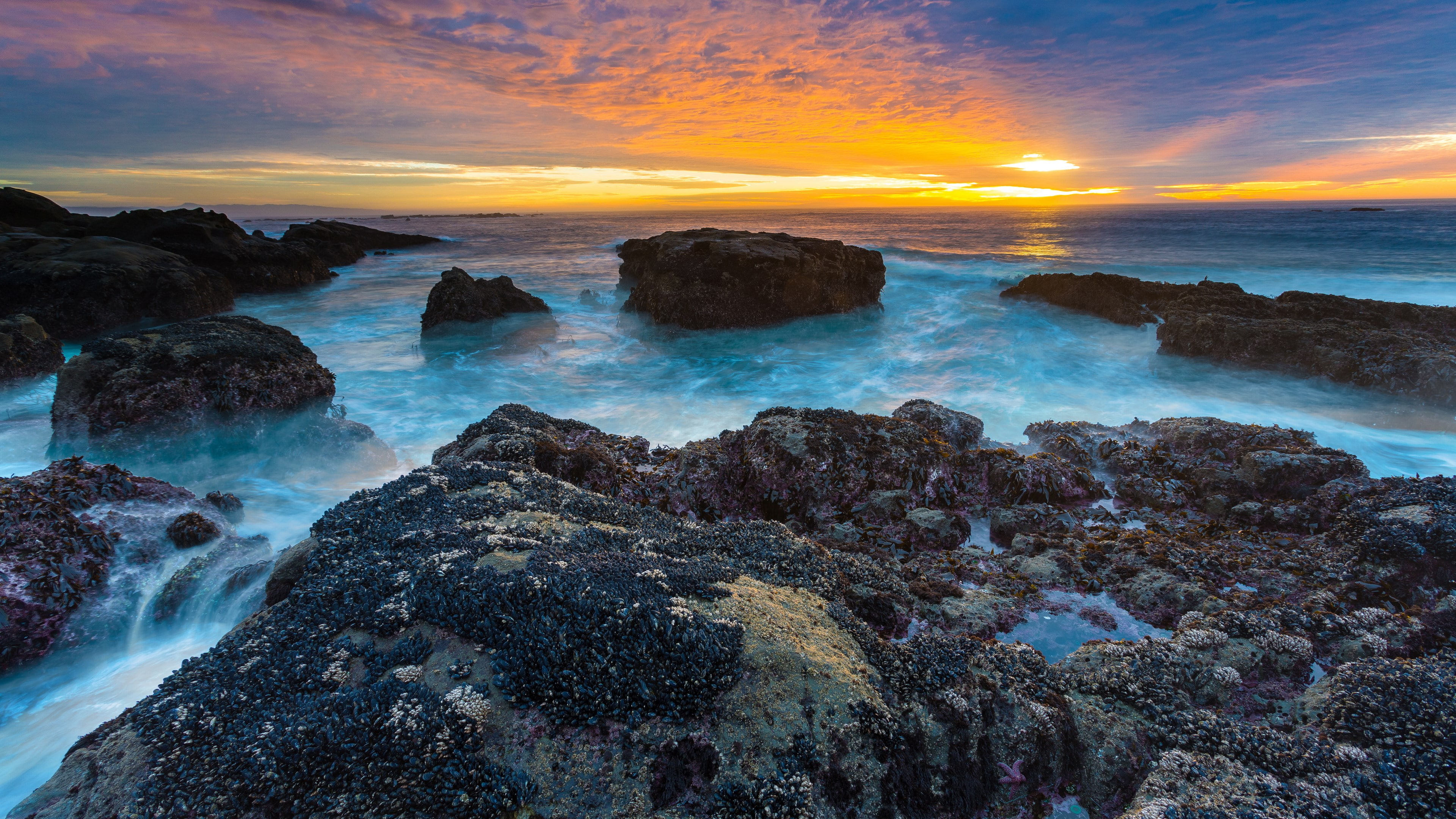 4K, latest new  nature scene 3840x2160, HD Wallpaper