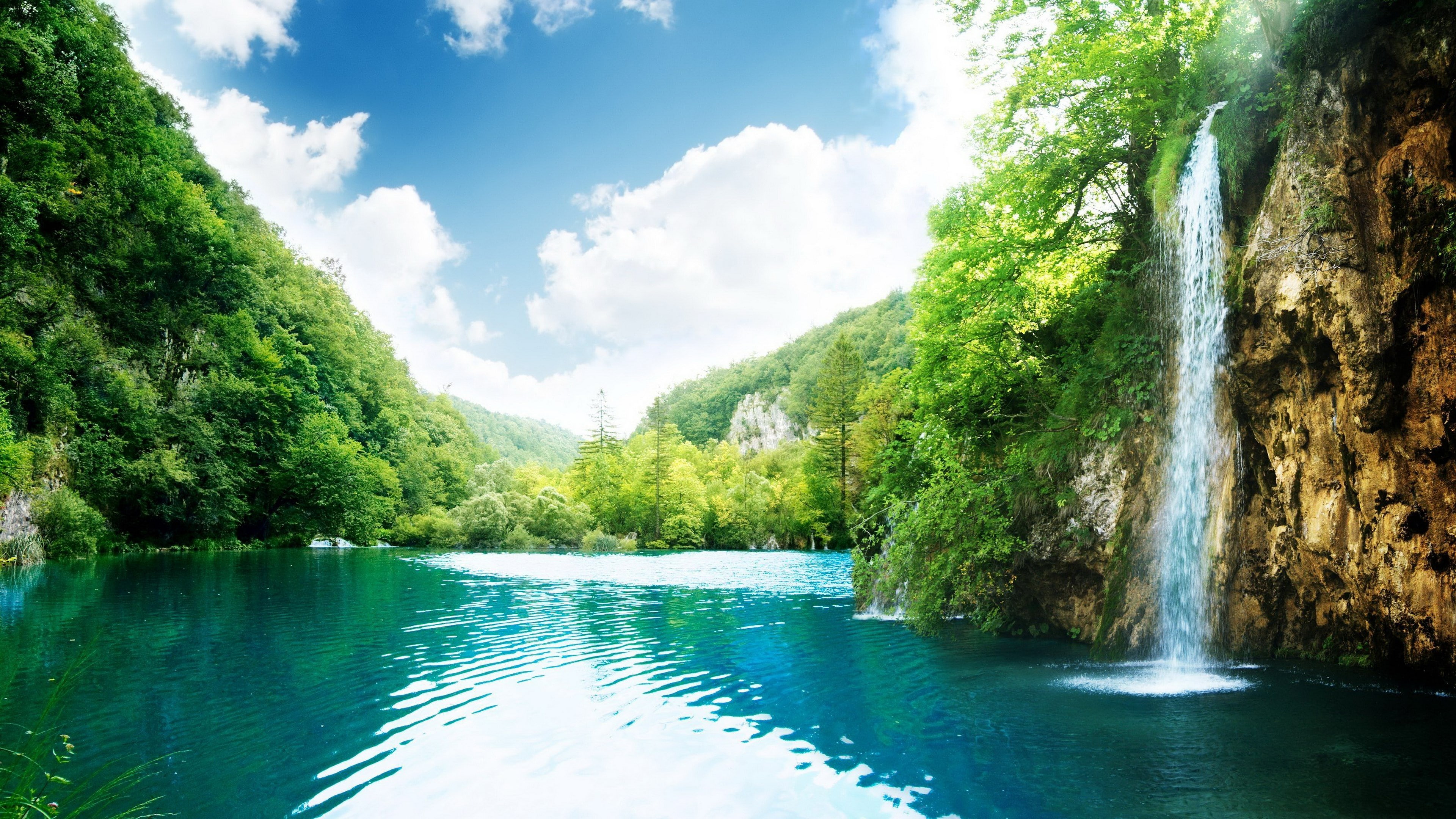 rainforest, idyllic, growth, water, sky, plant, lake, latest new  nature scene 3840x2160, nature, tranquility, non-urban scene, tree, day, outdoors, 4K, HD Wallpaper