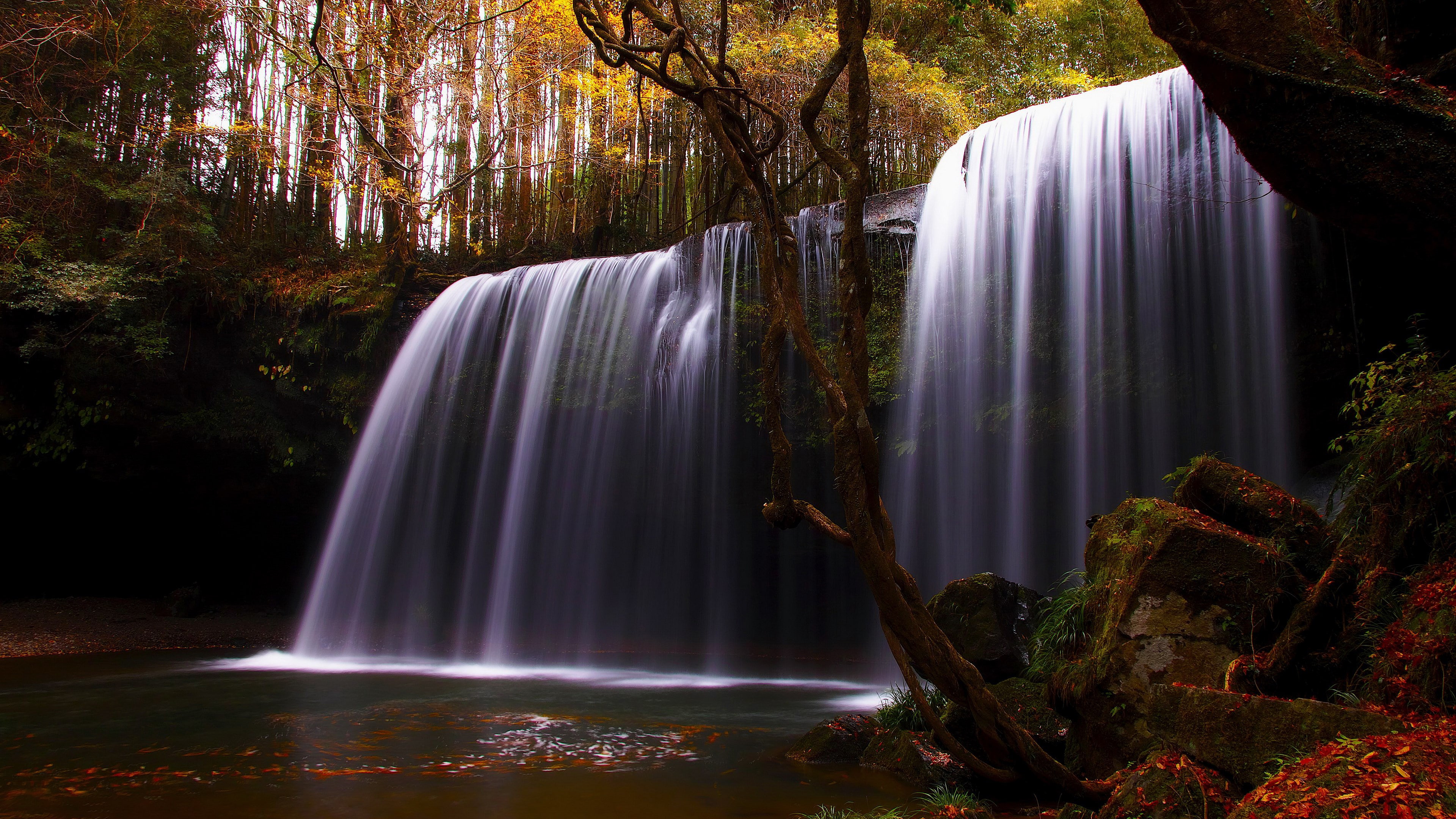latest new  nature scene 3840x2160, 4K, HD Wallpaper
