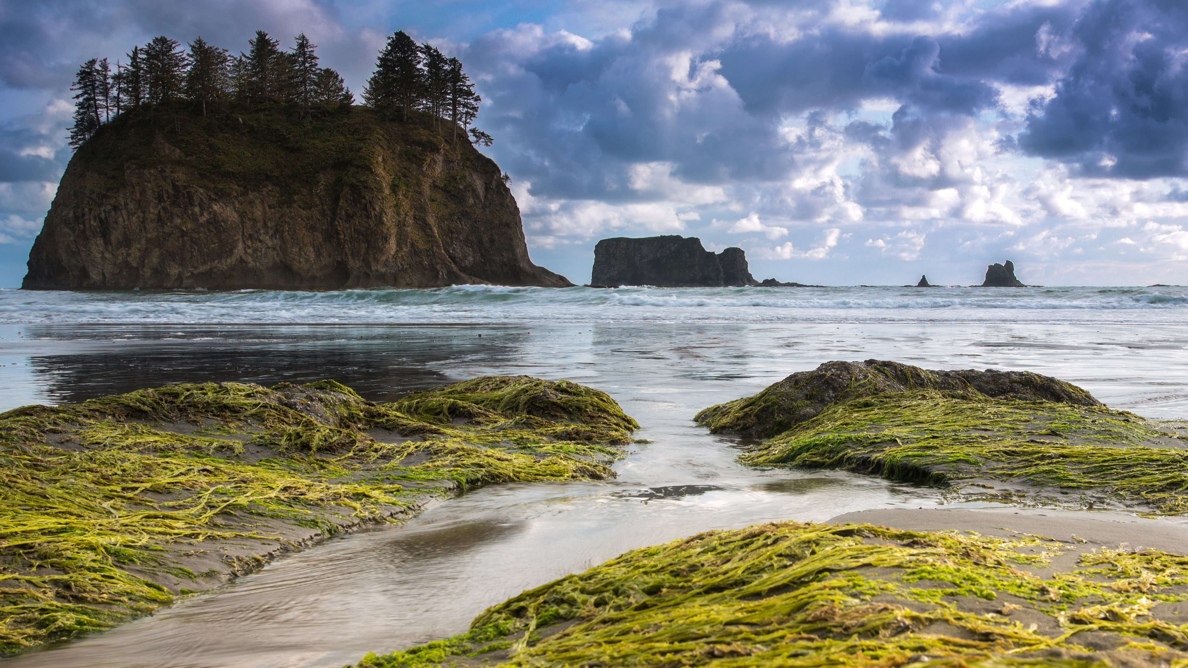 latest new  nature scene 3840x2160, 4K, HD Wallpaper