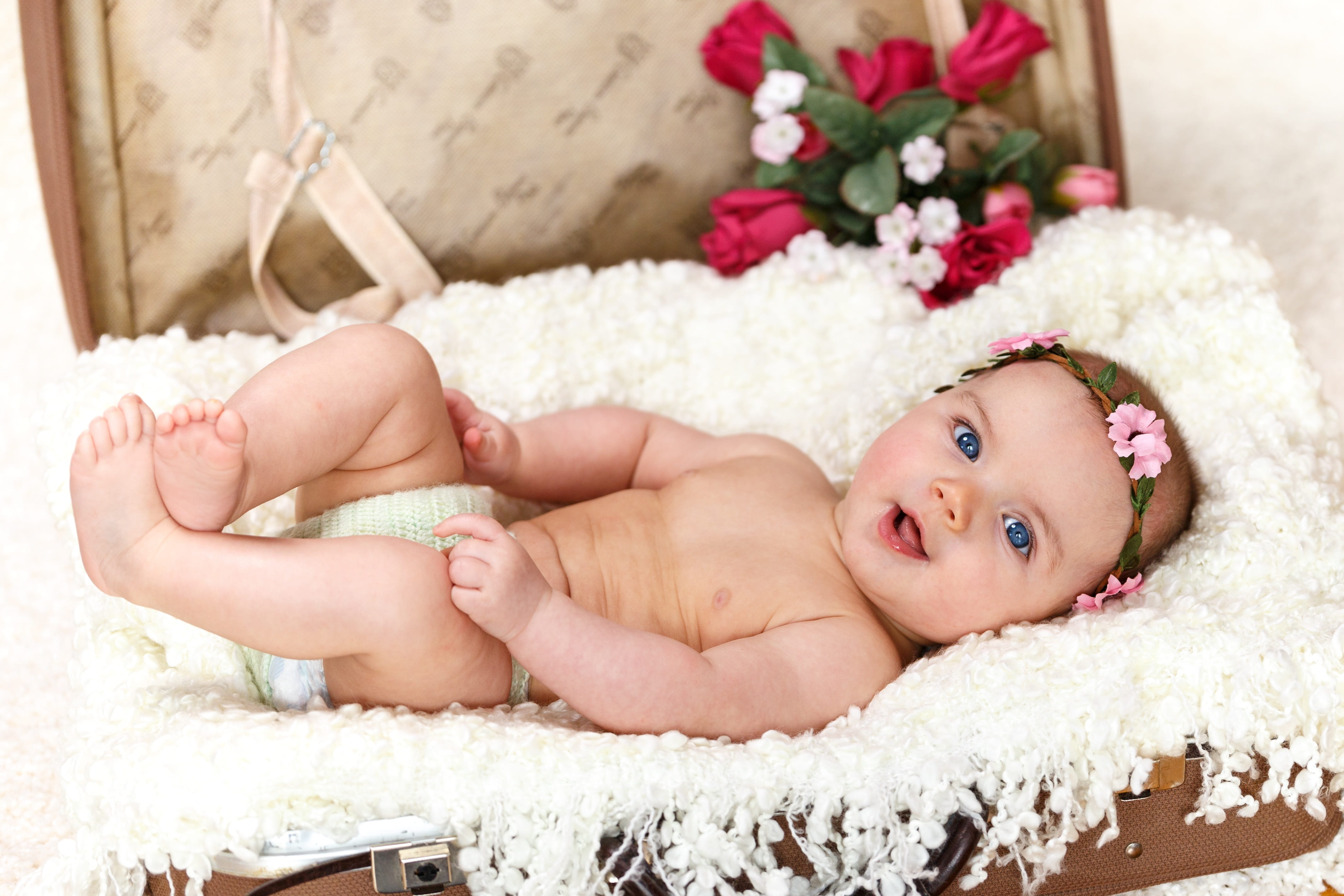 flowering plant, looking at camera, beginnings, shirtless, portrait, young, cute, 4K, baby, childhood, roses, small, child, indoors, one person, innocence, HD Wallpaper