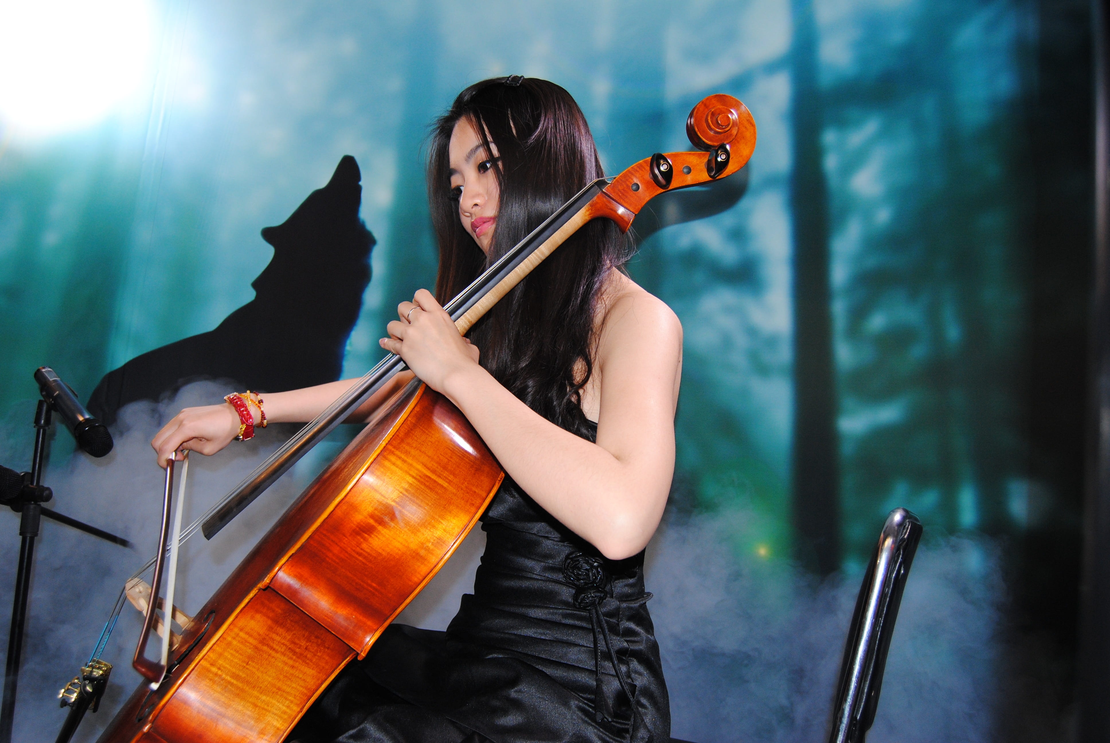people, sitting, classic, women, violinist, musician, music, woman, chello, model, cello, violin, young adult, indoors, artist, string instrument, concert, HD Wallpaper