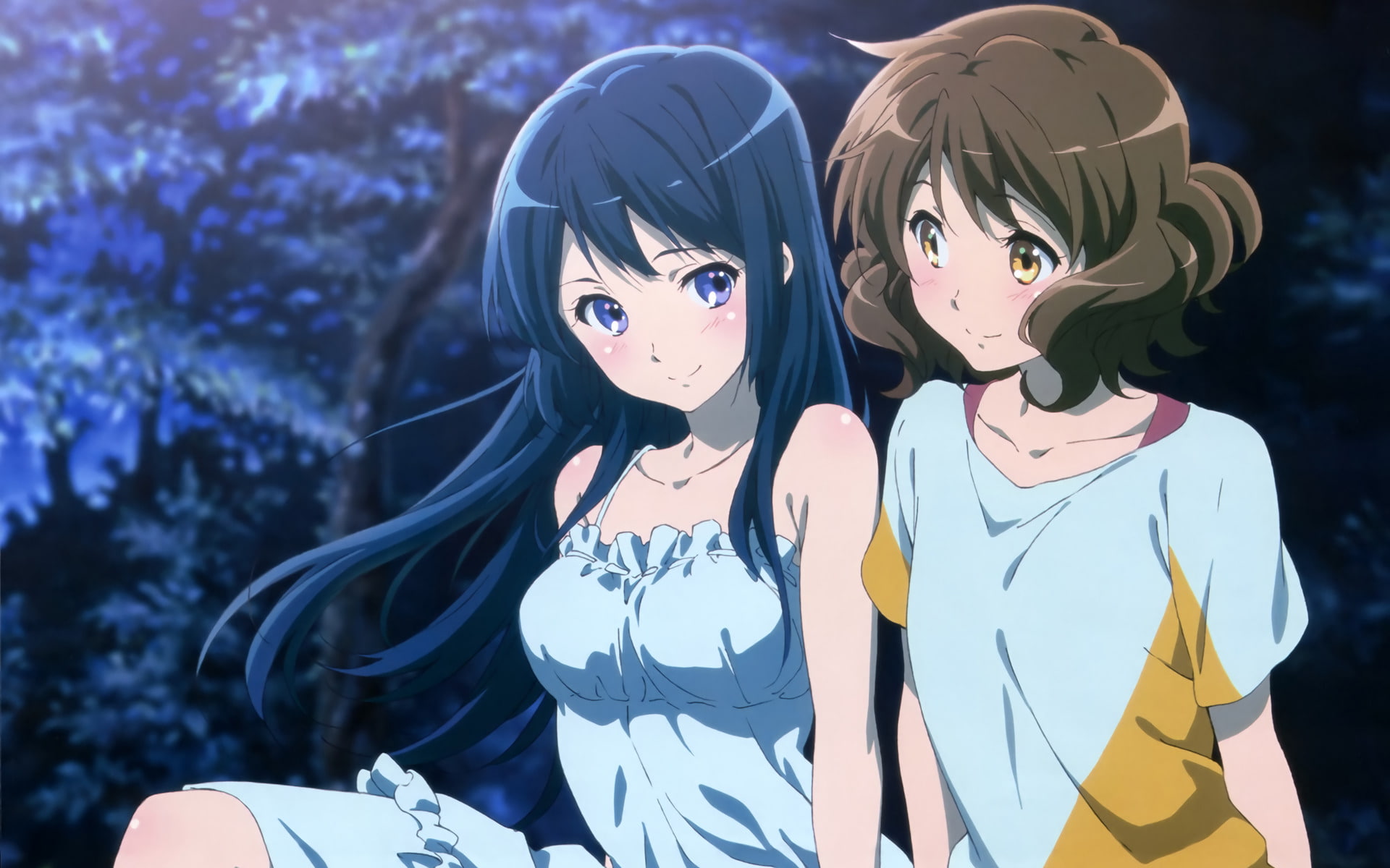 Reina Kousaka, 1080P, Anime, Sound! Euphonium, Kumiko Oumae, HD Wallpaper