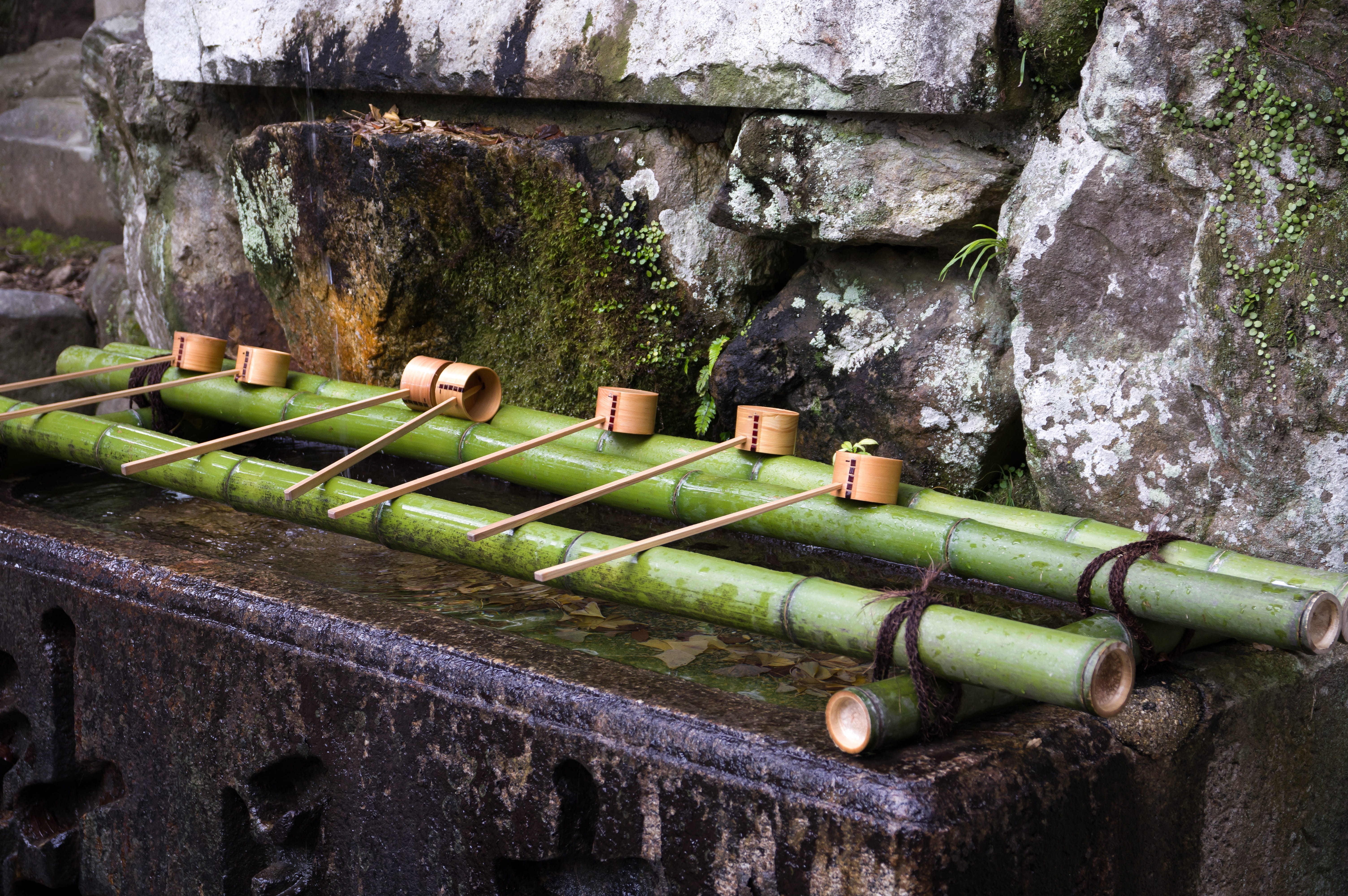 green color, solid, old, japan, no people, 5K, architecture, built structure, bamboo - material, belief, nature, religion, wall - building feature, outdoors, HD Wallpaper