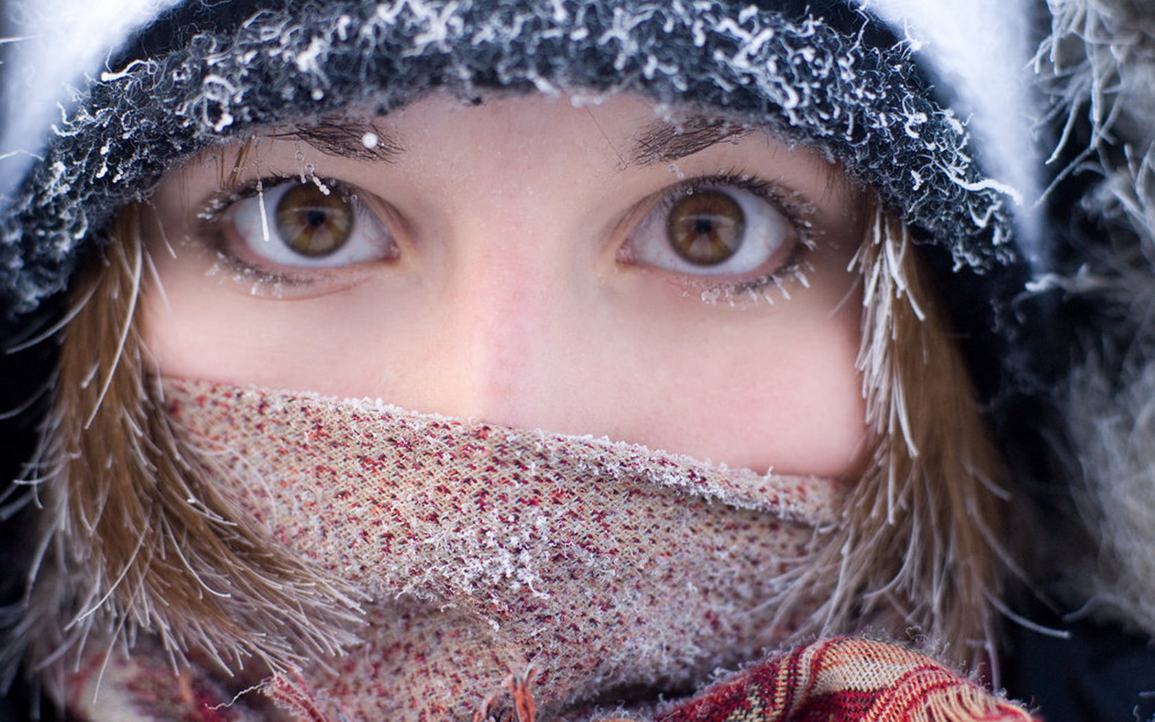 beautyful, hat, winter, brown, girl, mask, woman, scarf, eyes, 720P, snow, HD Wallpaper