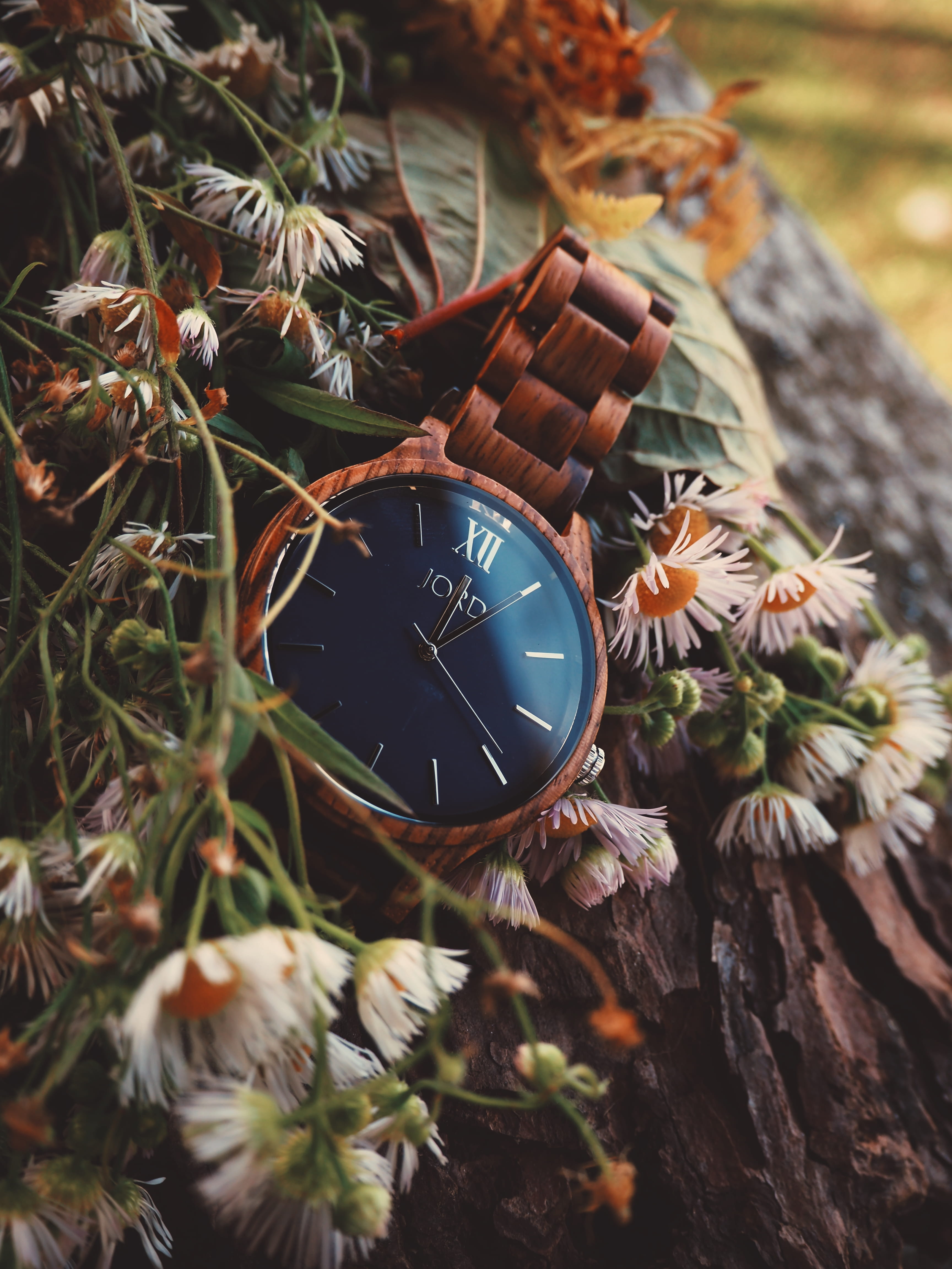 moody, leaf, time, close-up, clock, autumn, 4K, communication, day, number, carinthia, love, capture, text, watch, plant, plant part, high angle view, Phone HD Wallpaper