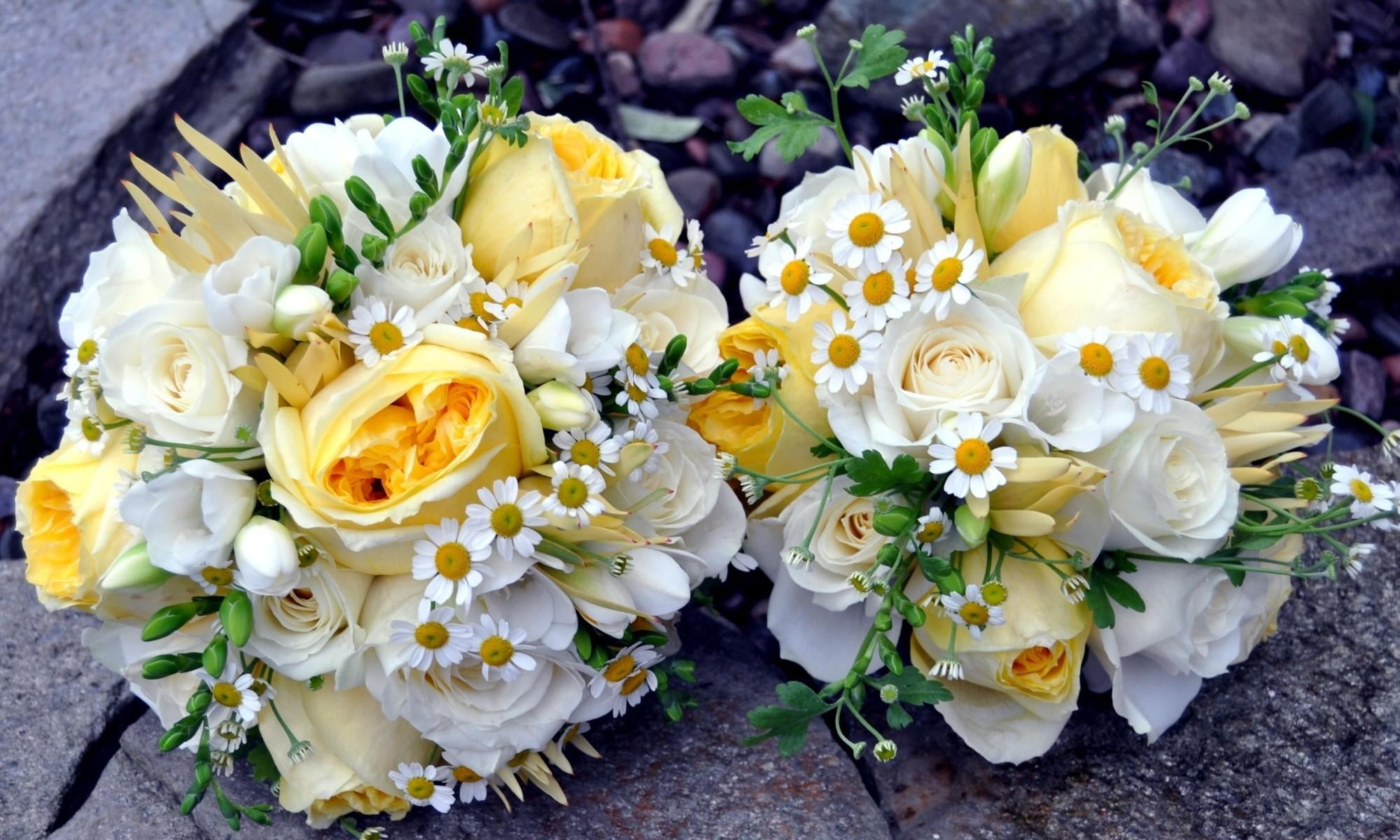 green, close-up, celebration, married, arrangement, beauty, bride, white color, freshness, love, nature, 1080P, flowering plant, rose, daisies, wedding, HD Wallpaper