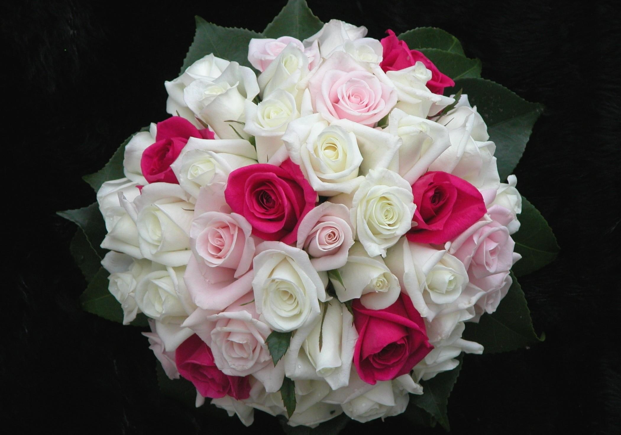flowers, pink, design, roses, 1080P, leaf, white, flower, beautifully, HD Wallpaper