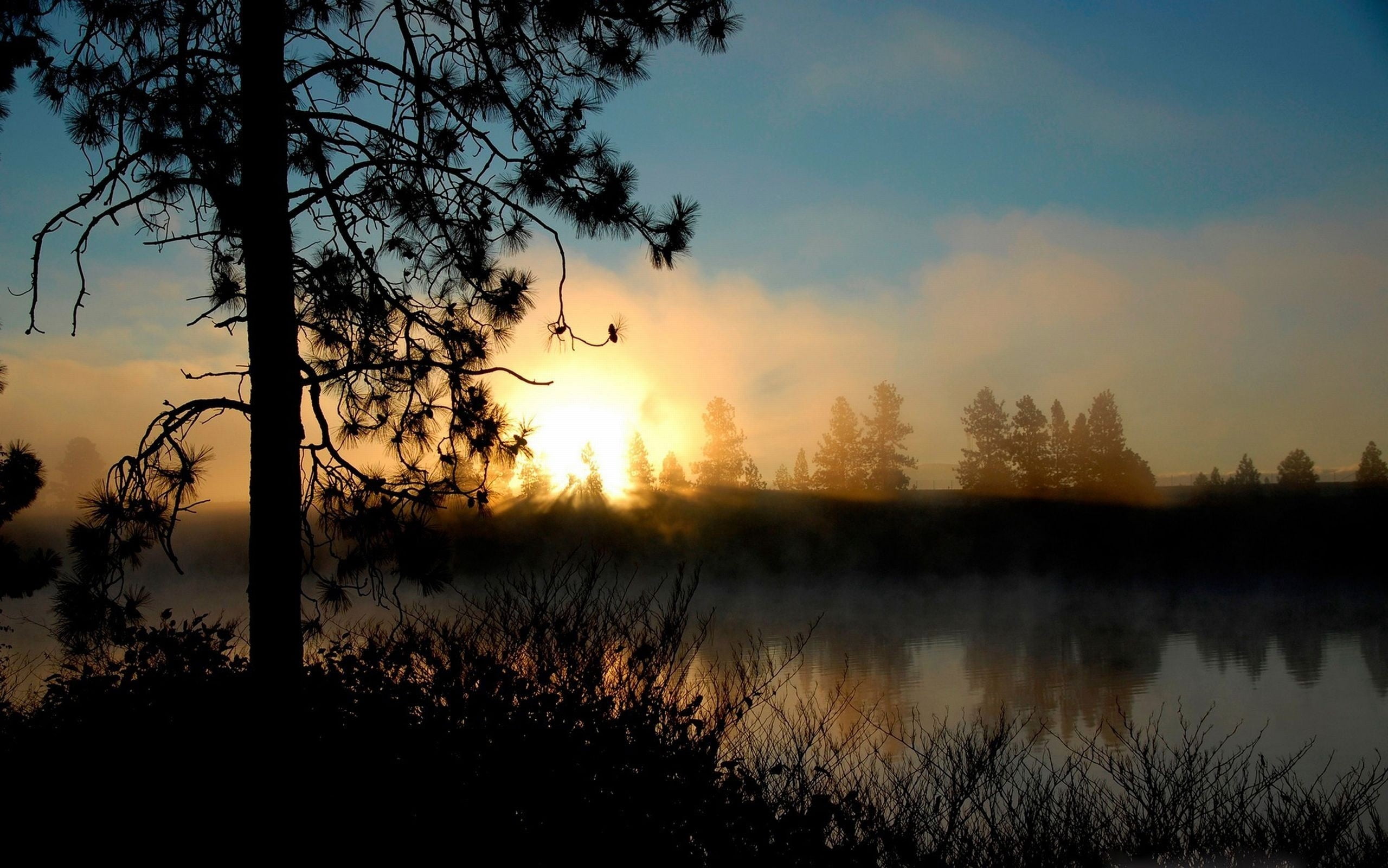 season, river, morning, scenics - nature, sunrise - Dawn, no People, dark, idyllic, non-Urban Scene, evening, sunset, branch, nature, silhouette, backgrounds, HD Wallpaper