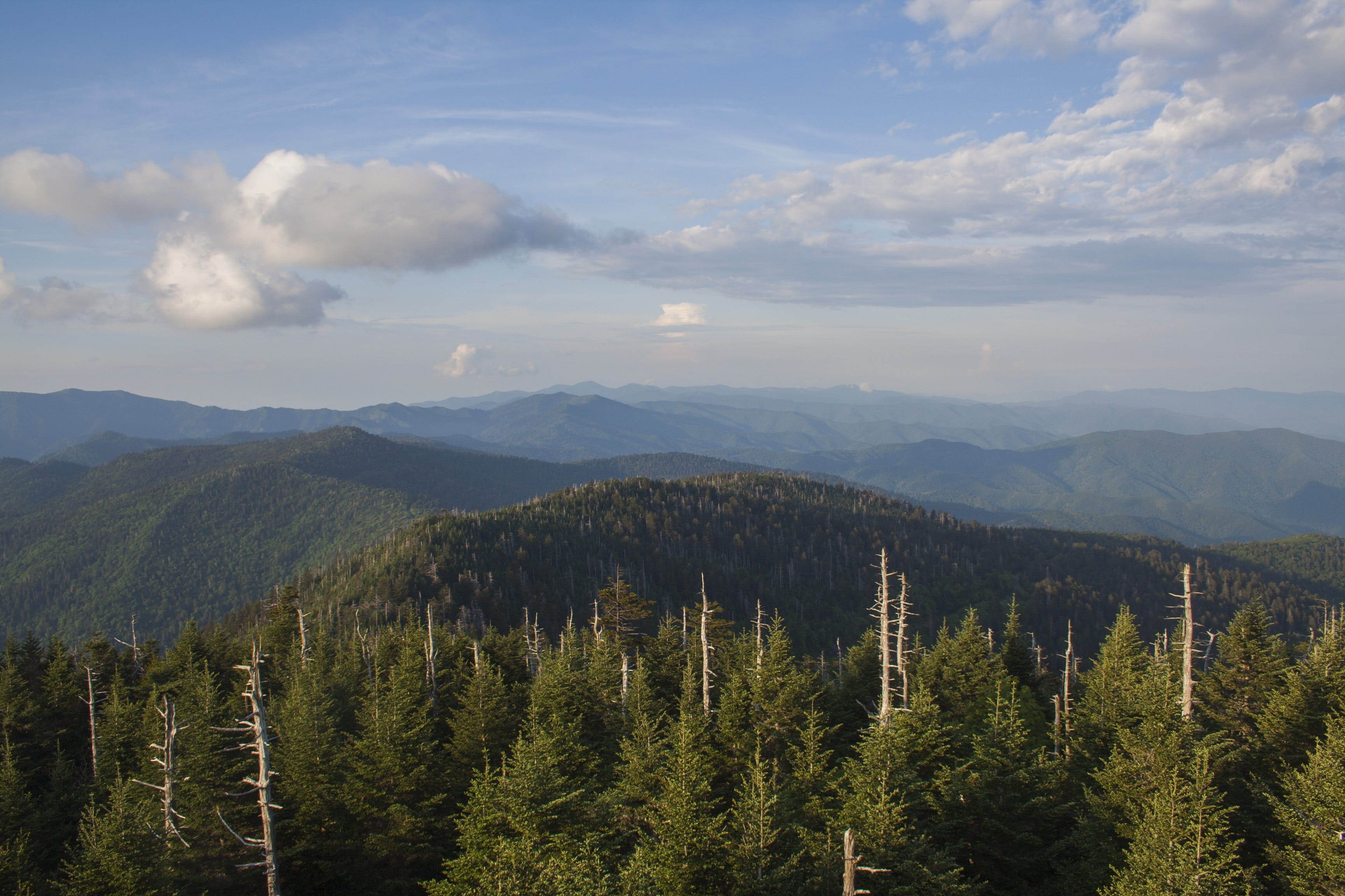 mountains, growth, tranquility, smoky mountains, 2K, day, no people, forest, tranquil scene, coniferous tree, tree, outdoors, cloud - sky, green color, HD Wallpaper