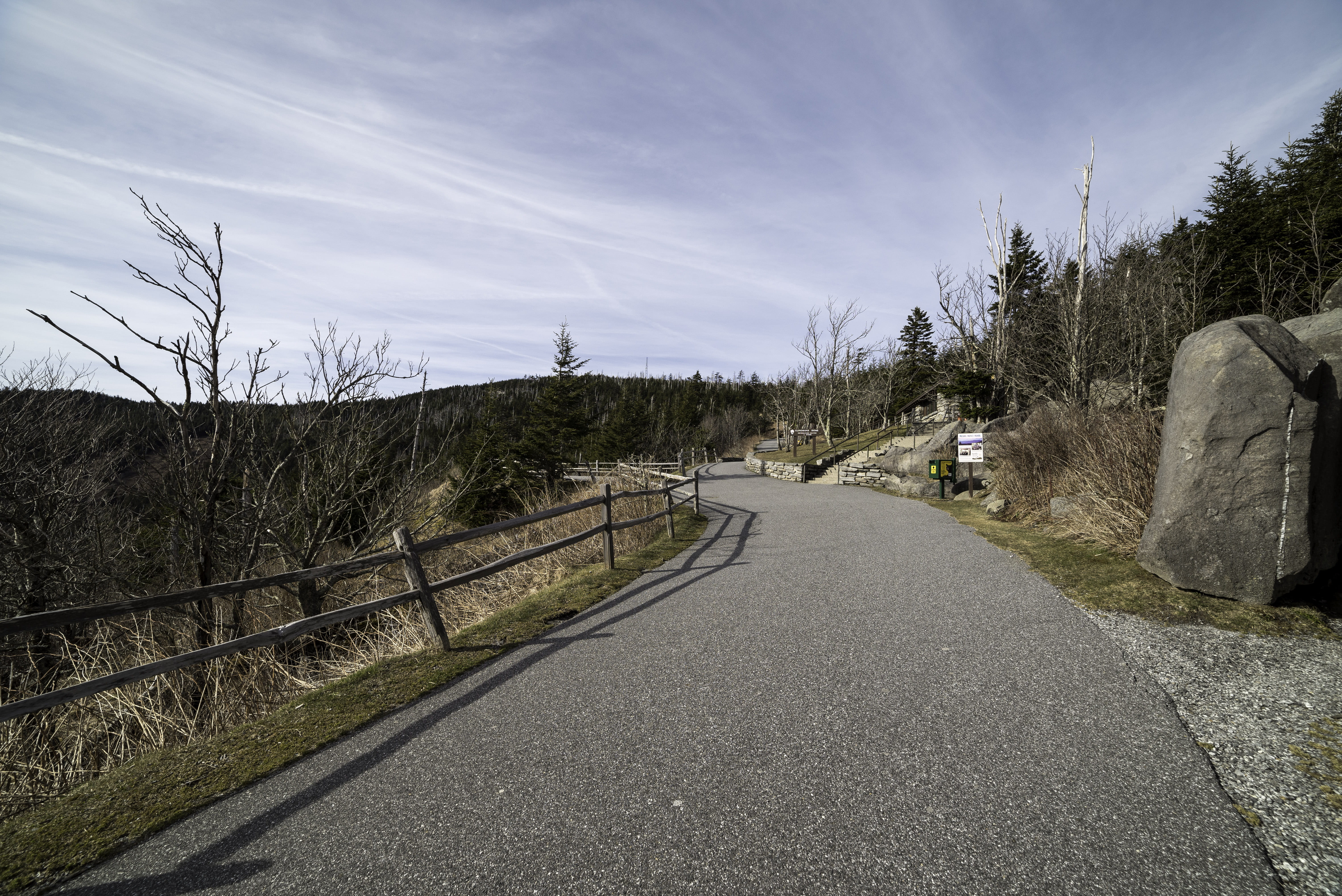 United States, Tennessee, Clingmans Dome, growth, tranquility, great, Great Smoky Mountains National Park, s, direction, plant, tranquil scene, day, tree, HD Wallpaper