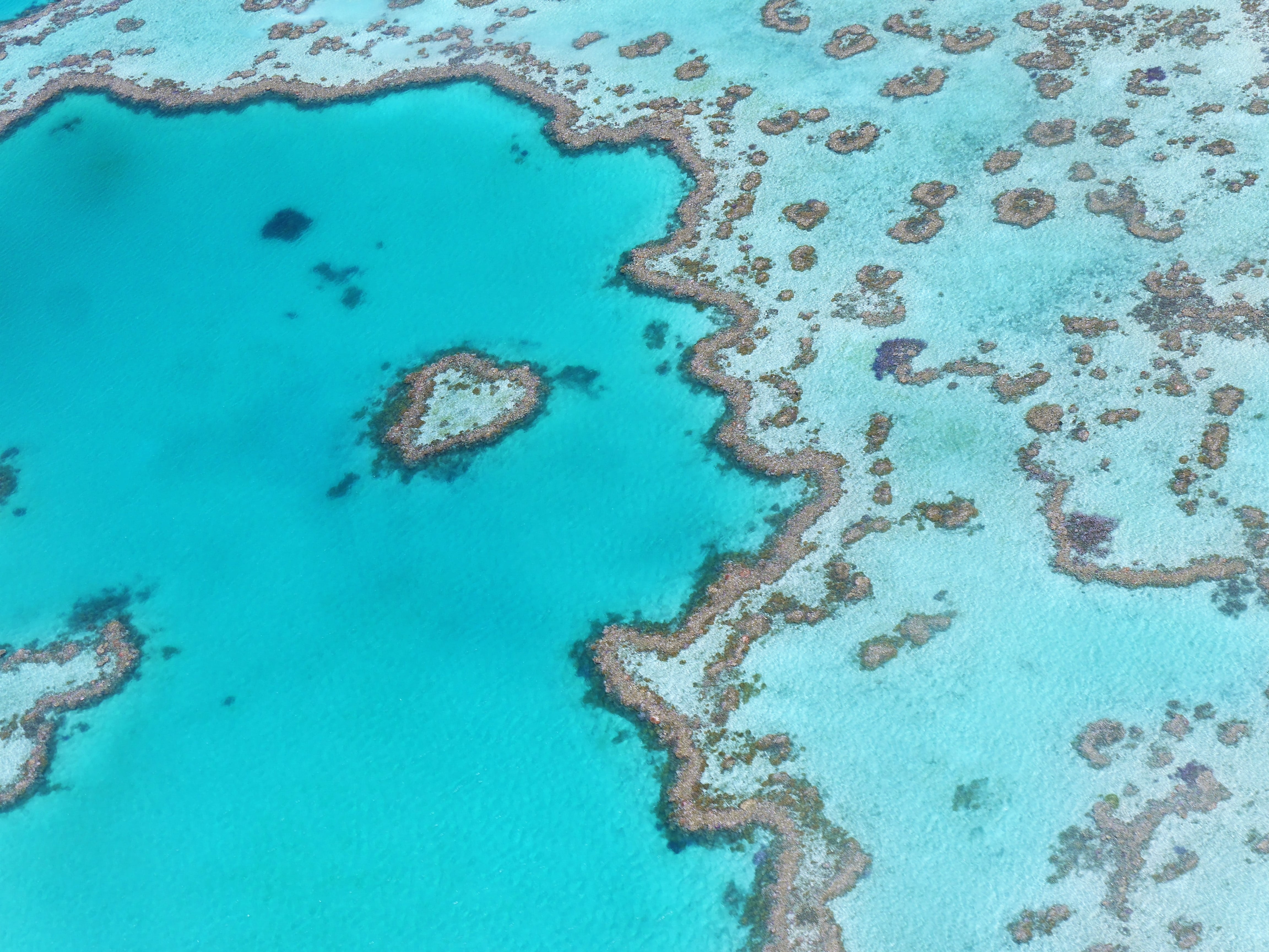 land, no people, backgrounds, sand, sea, water, heart reef, tranquility, high angle view, photography, scenics - nature, turquoise colored, 4K, textured, HD Wallpaper