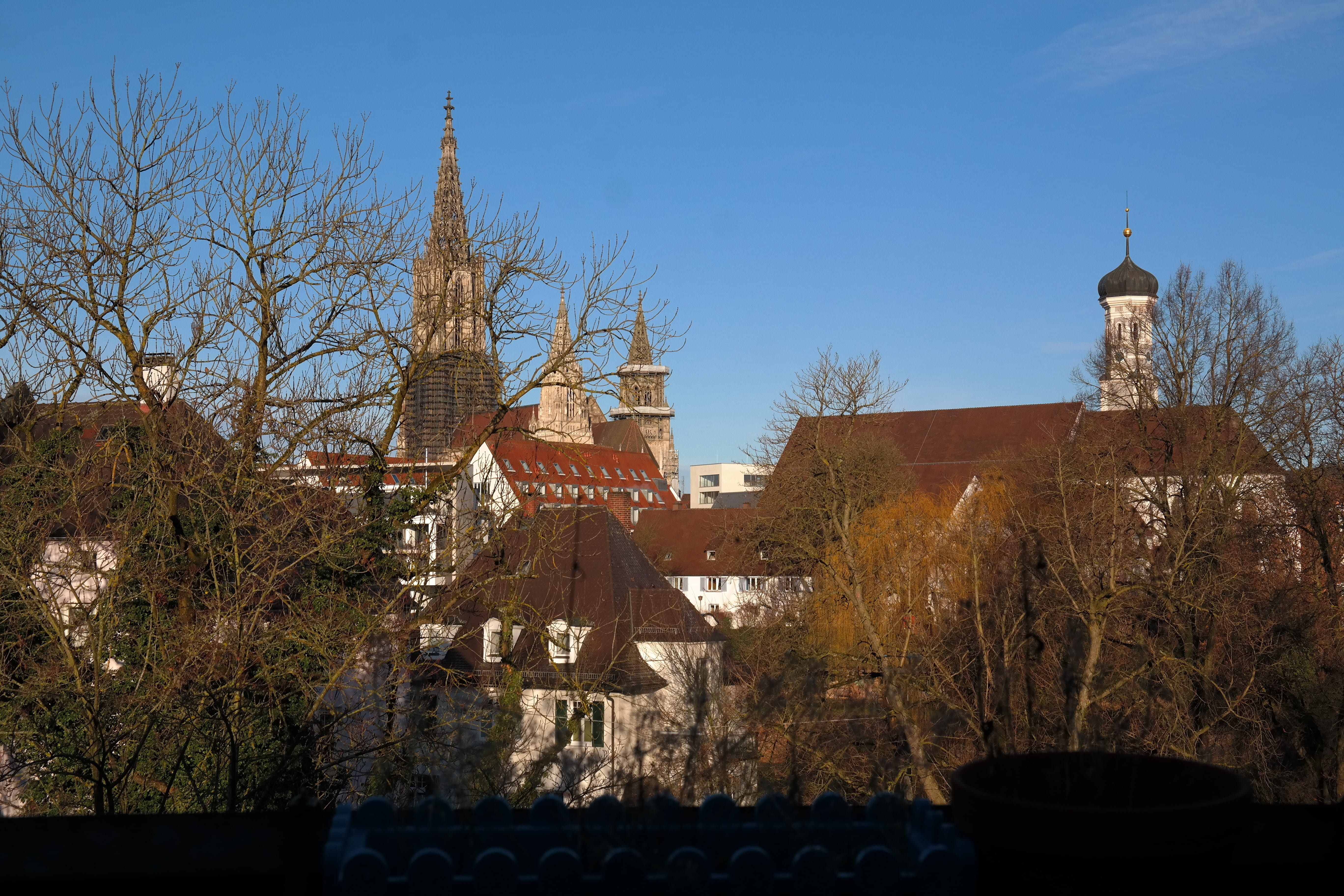 faith, ulm, nature, outdoors, architecture, spire, city, bare tree, City, building, sky, religion, building exterior, place of worship, tower, high, tree, HD Wallpaper