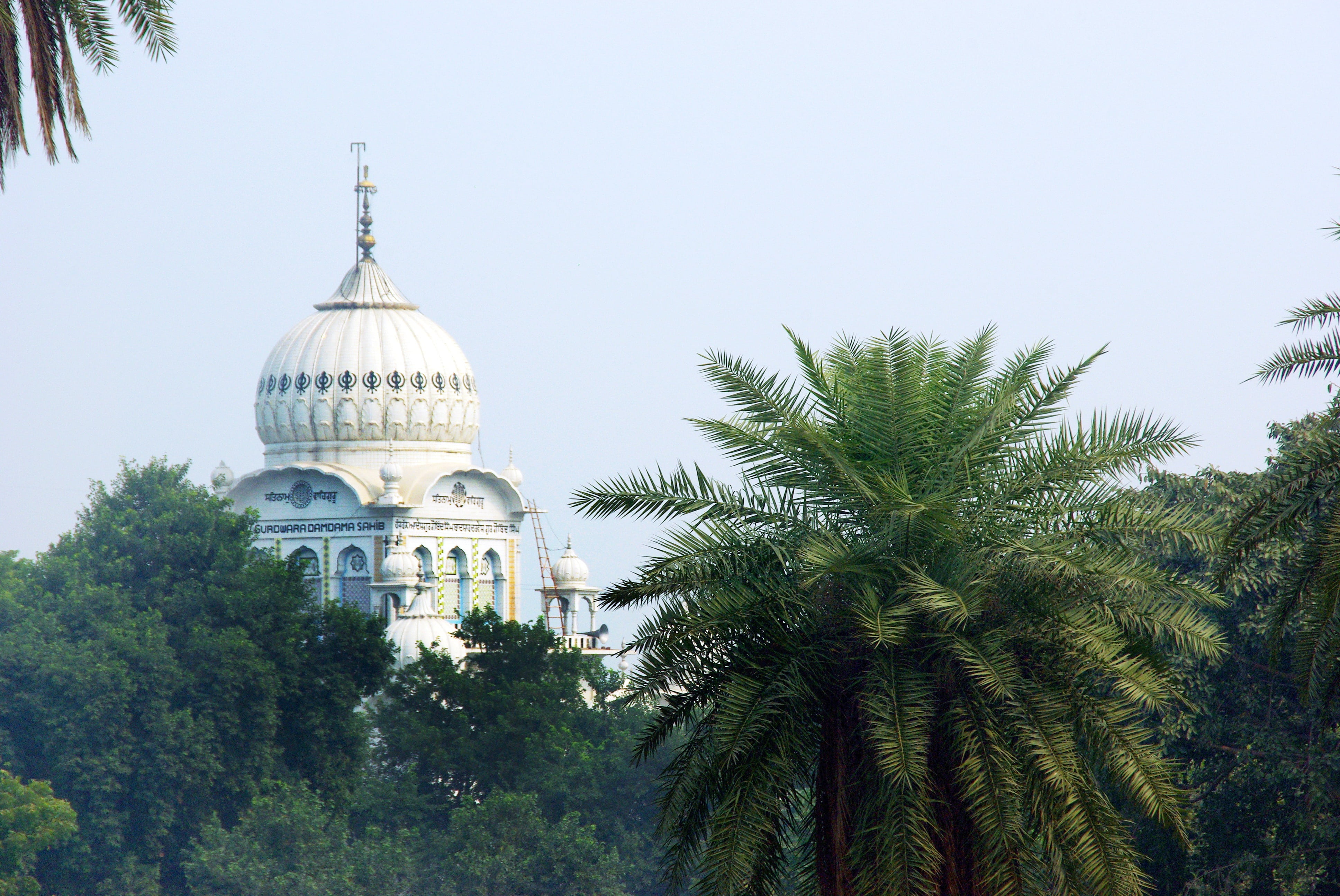 tourism, 4K, outdoors, plant, travel destinations, palm tree, delhi, government, dome, sky, monument, no people, travel, nature, air pollution, mausoleum, HD Wallpaper