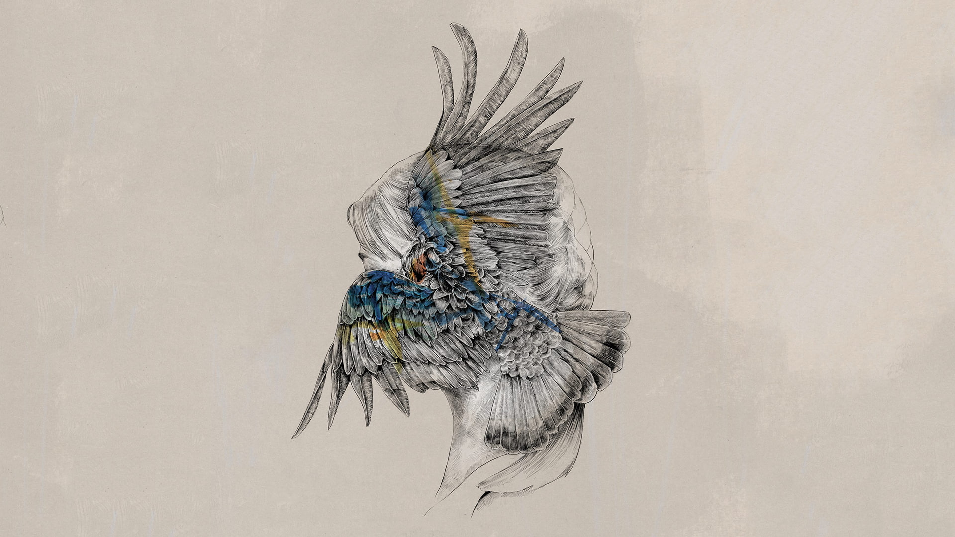 artwork, Tut Tut Child, feathers, 1080P, wings, Monstercat, HD Wallpaper