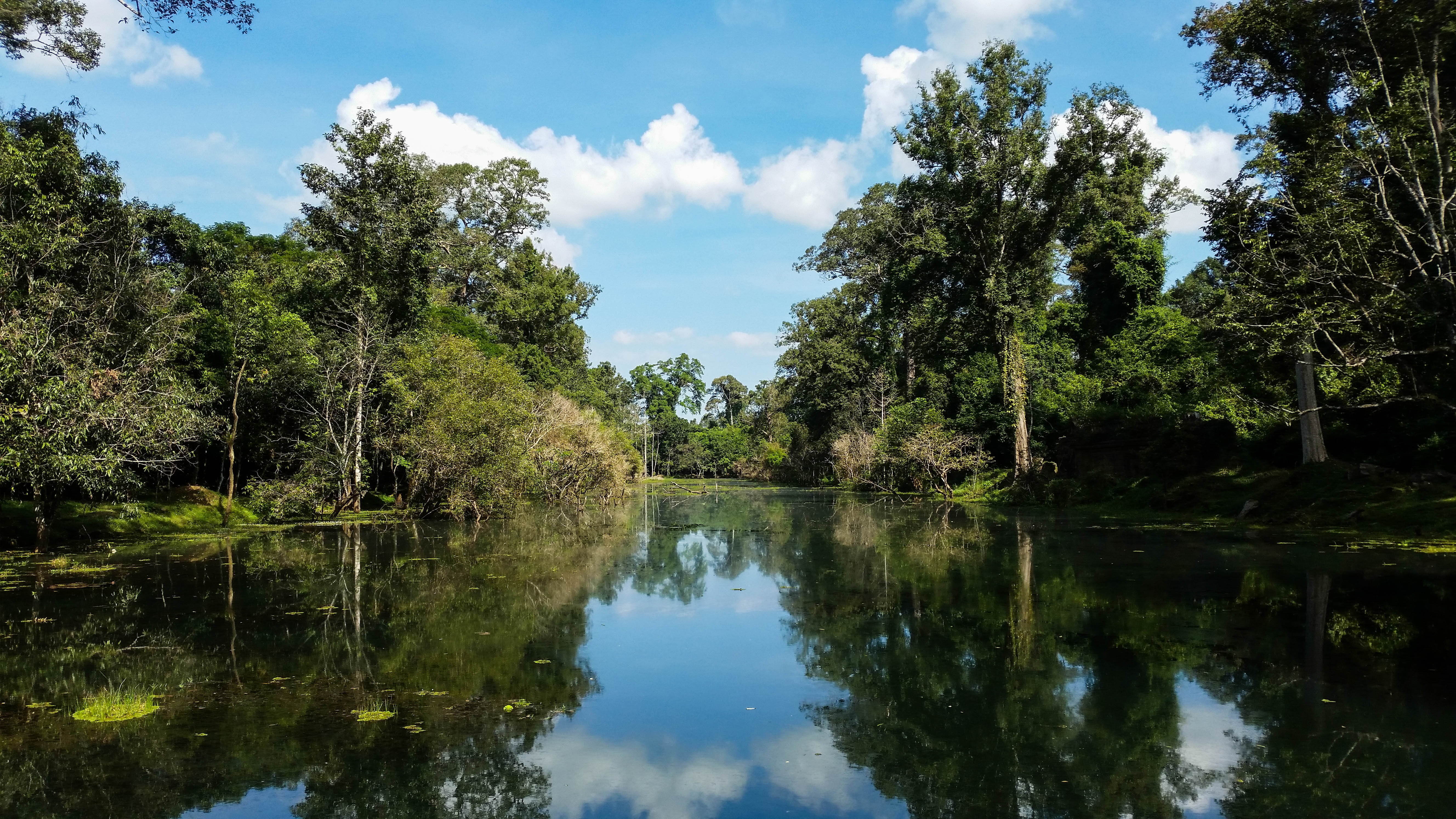 non-urban scene, tranquil scene, reflection lake, outdoors, temple complexes, growth, forest, asia, green color, trees, reflection, lake, water, no people, HD Wallpaper
