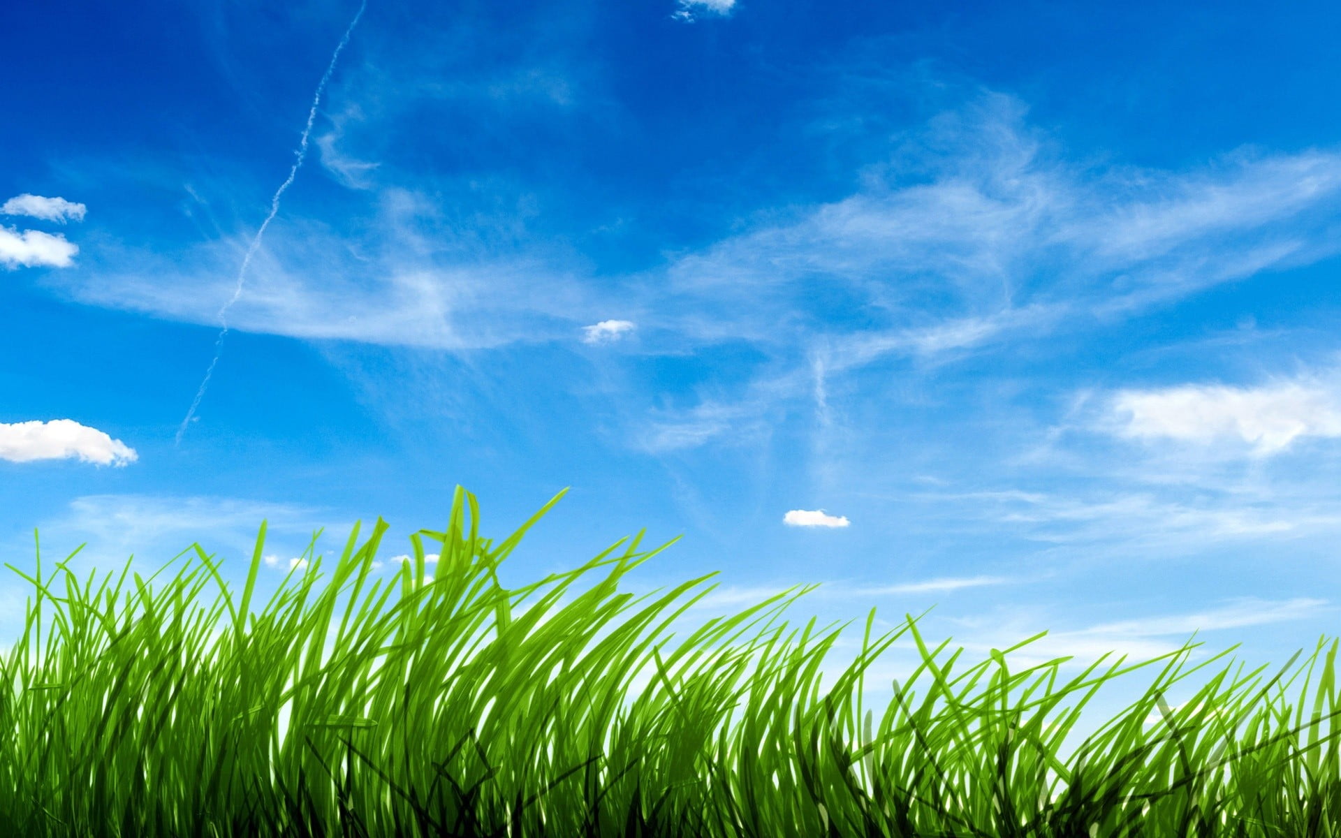 green color, land, agriculture, wind, no people, rural scene, blue, outdoors, plant, 1080P, grass, backgrounds, nature, cloud - sky, sky, illustration, HD Wallpaper