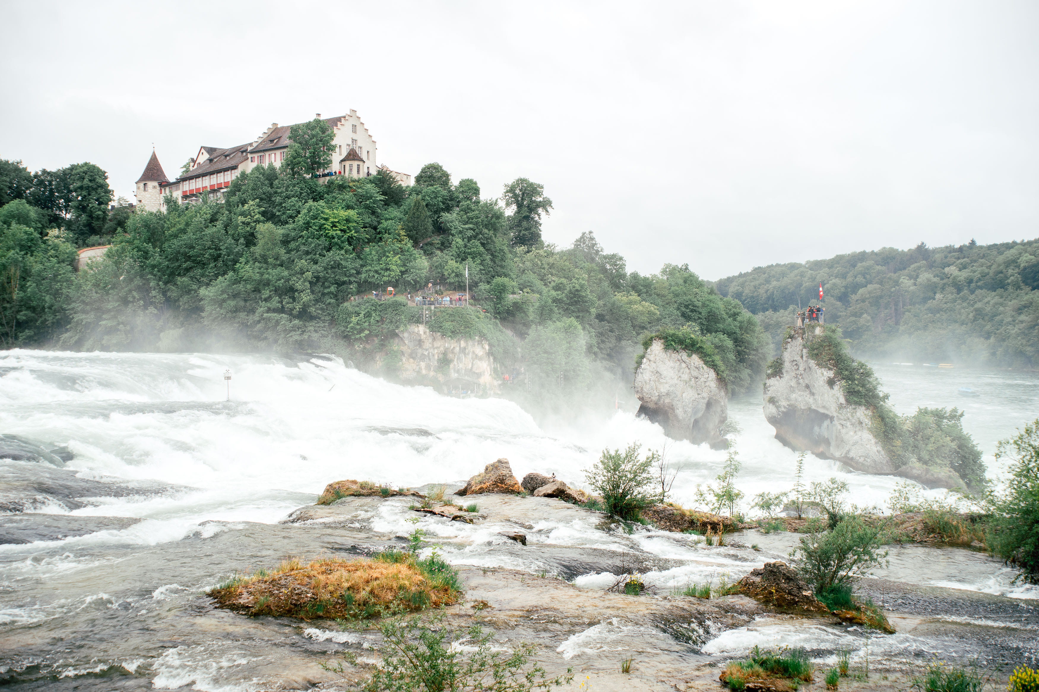environment, stream, rein, power in nature, power, boat, beauty in nature, rainforest, rhinefalls, scenics - nature, hot spring, nature, plant, outdoors, HD Wallpaper