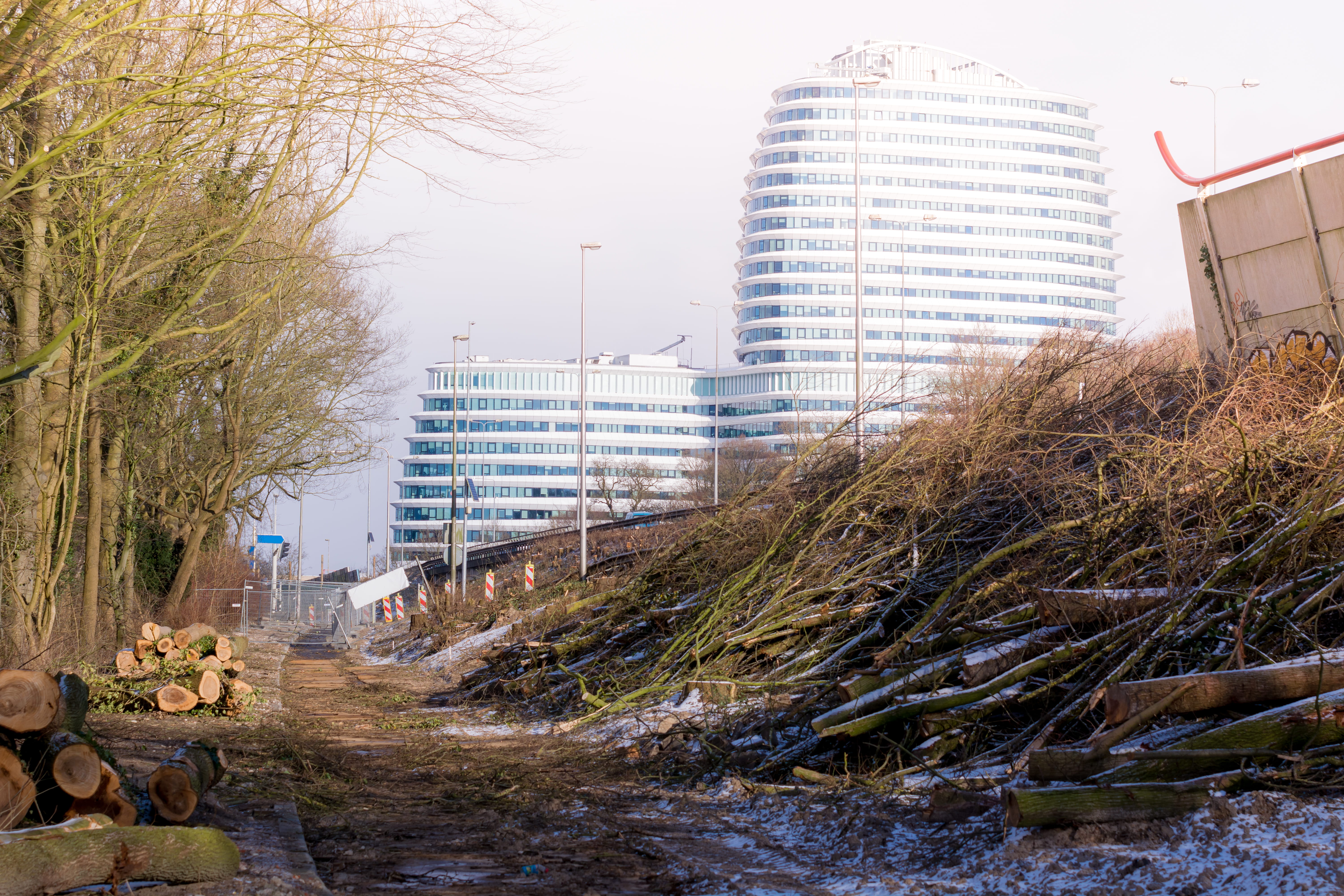 tree, building, netherlands, plant, office, building exterior, apartment, office building exterior, groningen, nature, city, skyscraper, 5K, built structure, HD Wallpaper
