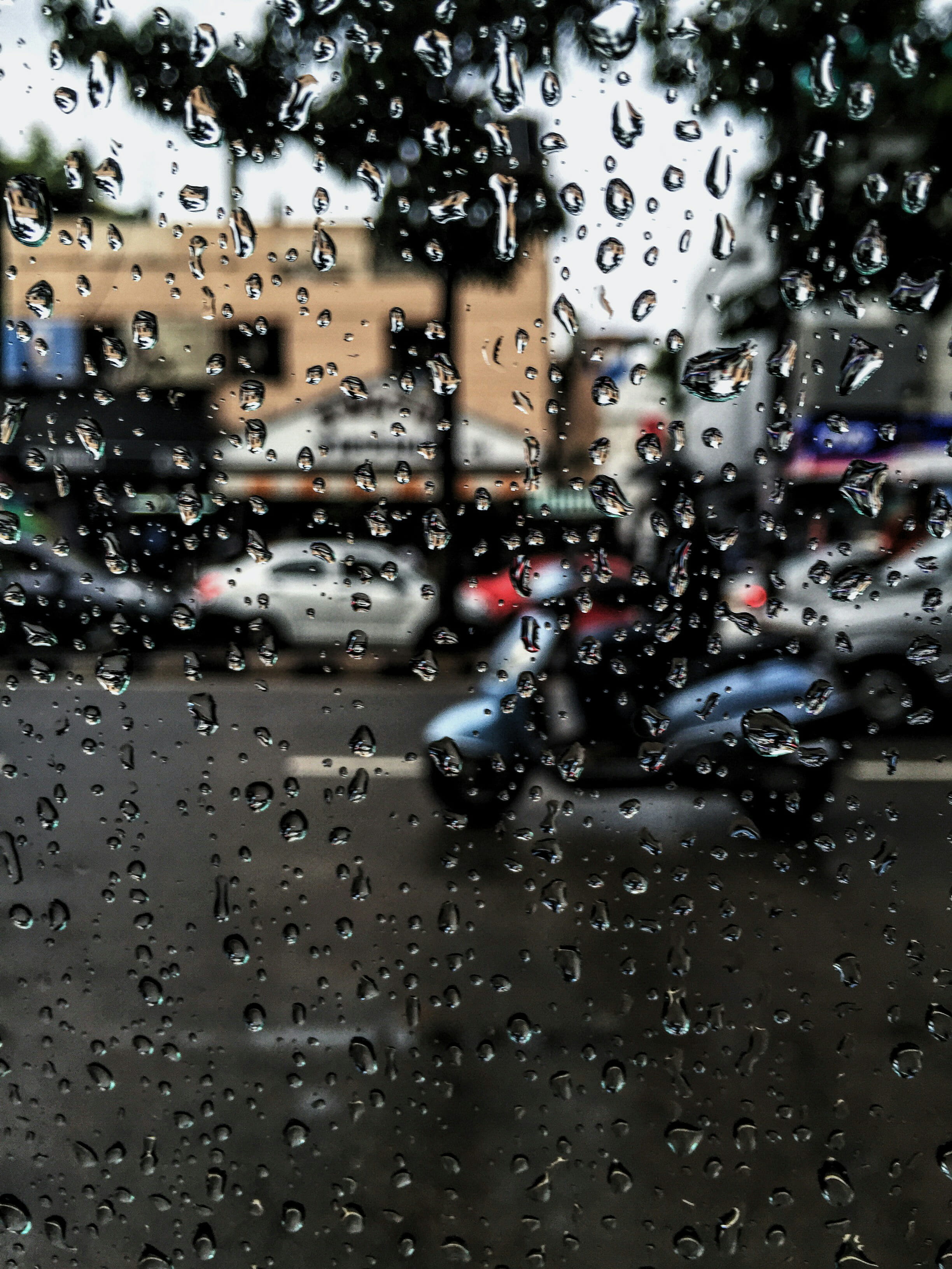 drop, india, land vehicle, transportation, window, mode of transportation, nature, vehicle interior, raindrop, wet, transparent, jubilee hills, motor vehicle, Phone HD Wallpaper