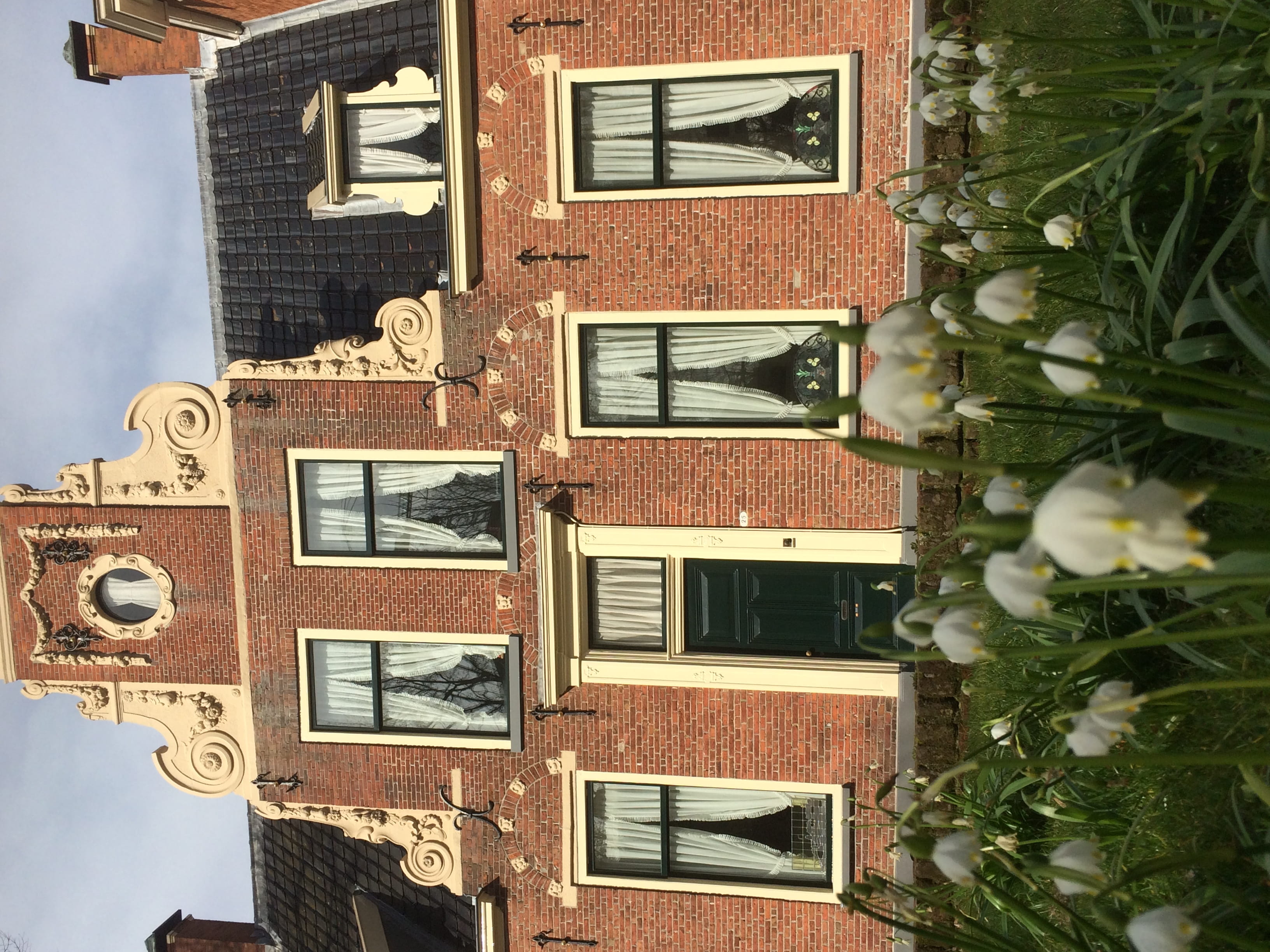 groningen, still life, building, wall, apartment, history, outdoors, wood - material, city, tree, brick, 2K, built structure, day, flowers, no people, HD Wallpaper