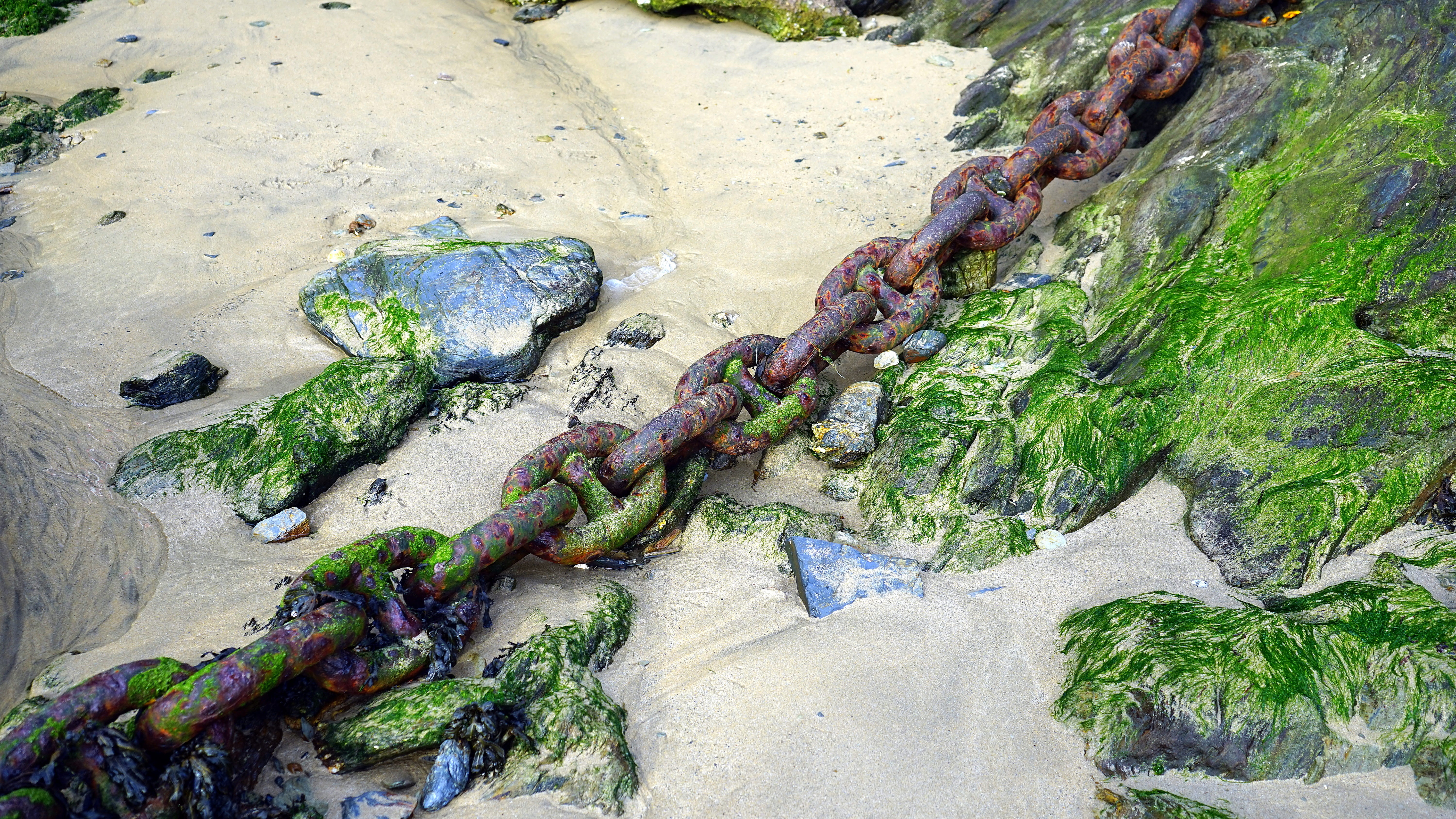 rusty, vintage, environment, nature, link, iron, strong, textured, strength, sand, green color, growth, connection, old, heavy, land, no people, outdoors, HD Wallpaper