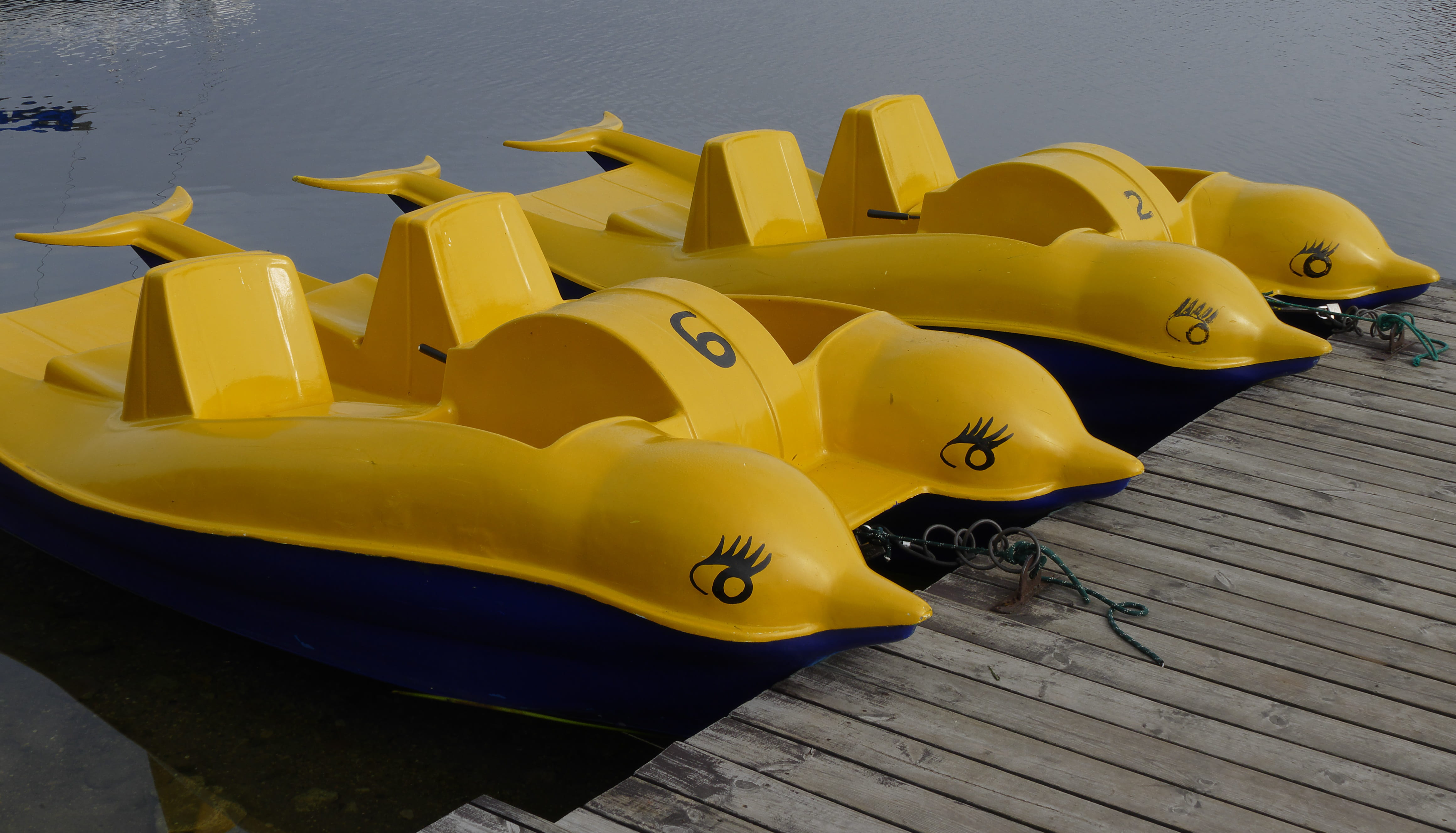lithuania, animal themes, nautical vessel, galevs lake, 4K, medium group of objects, yellow, animal representation, outdoors, rubber duck, close-up, baltic states, HD Wallpaper