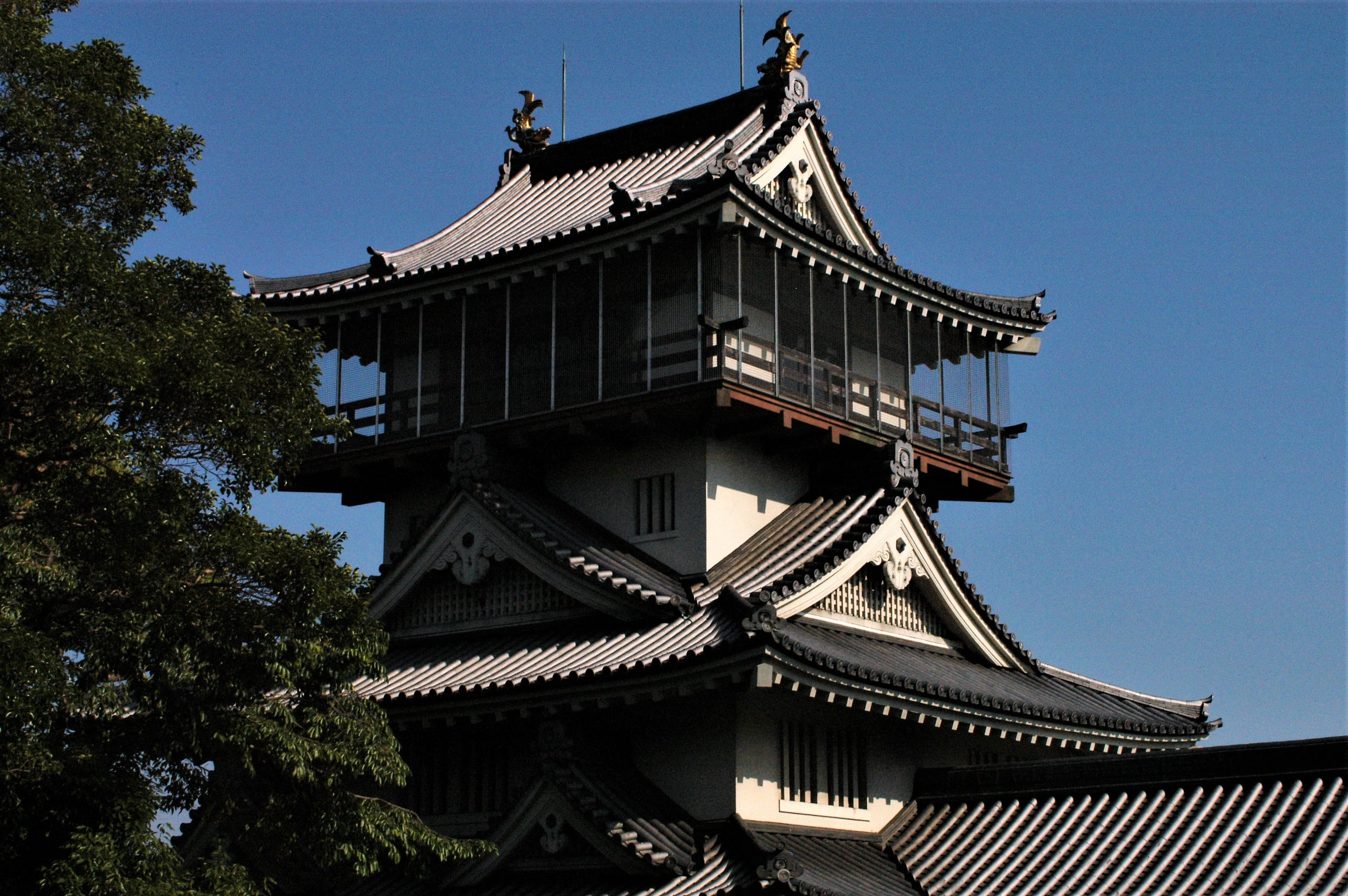 plant, building, travel destinations, roof, history, built structure, tree, 2K, komaki-nagakute, religion, sky, day, iwasaki castle, architecture, belief, HD Wallpaper