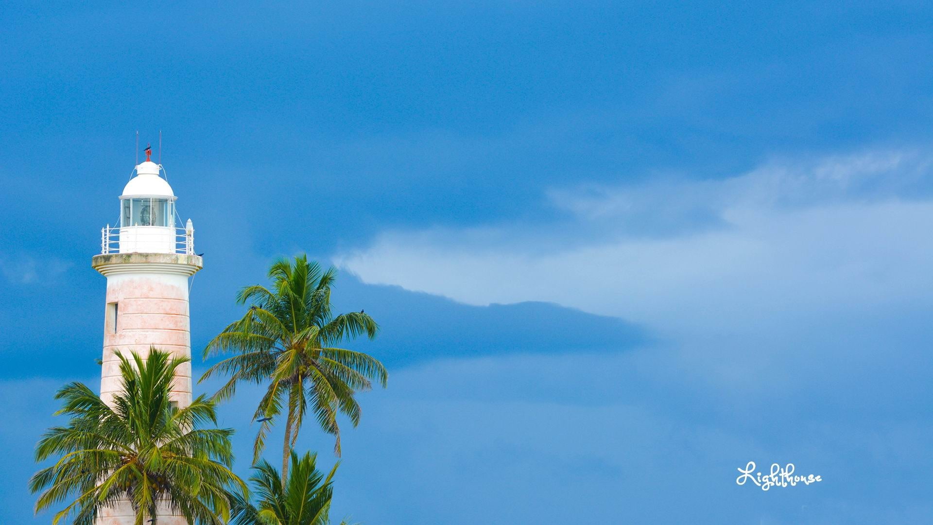 photo, tropical climate, beach, lighthouse, tree, day, guidance, travel, galle, coconut palm tree, architecture, building exterior, plant, sea, tower, palm tree, HD Wallpaper