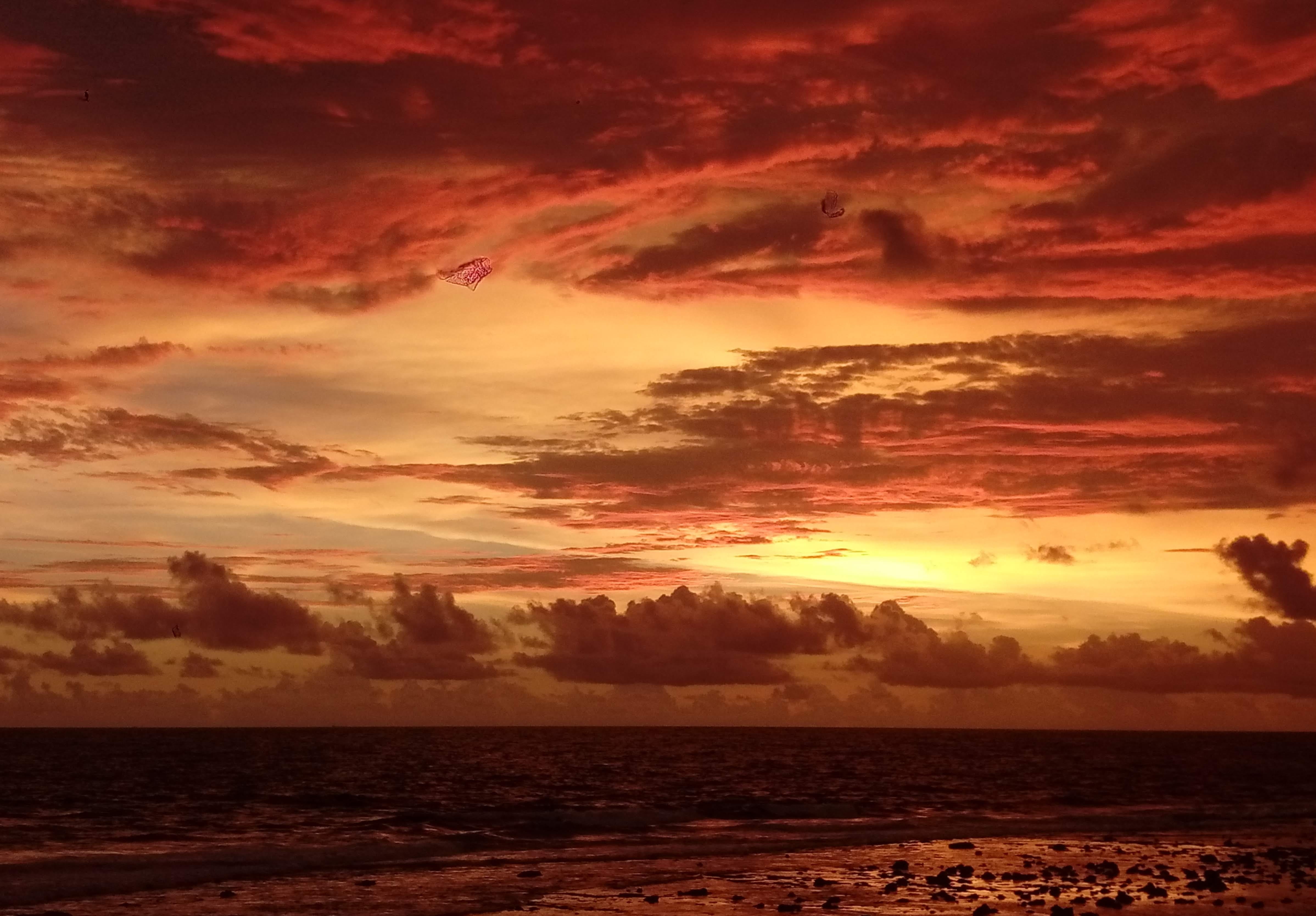 evening, horizon over water, nature, golden, cloud - sky, sunset, beach, land, sea, sky, the dutch fort, beautiful, beauty in nature, galle, 4K, idyllic, HD Wallpaper