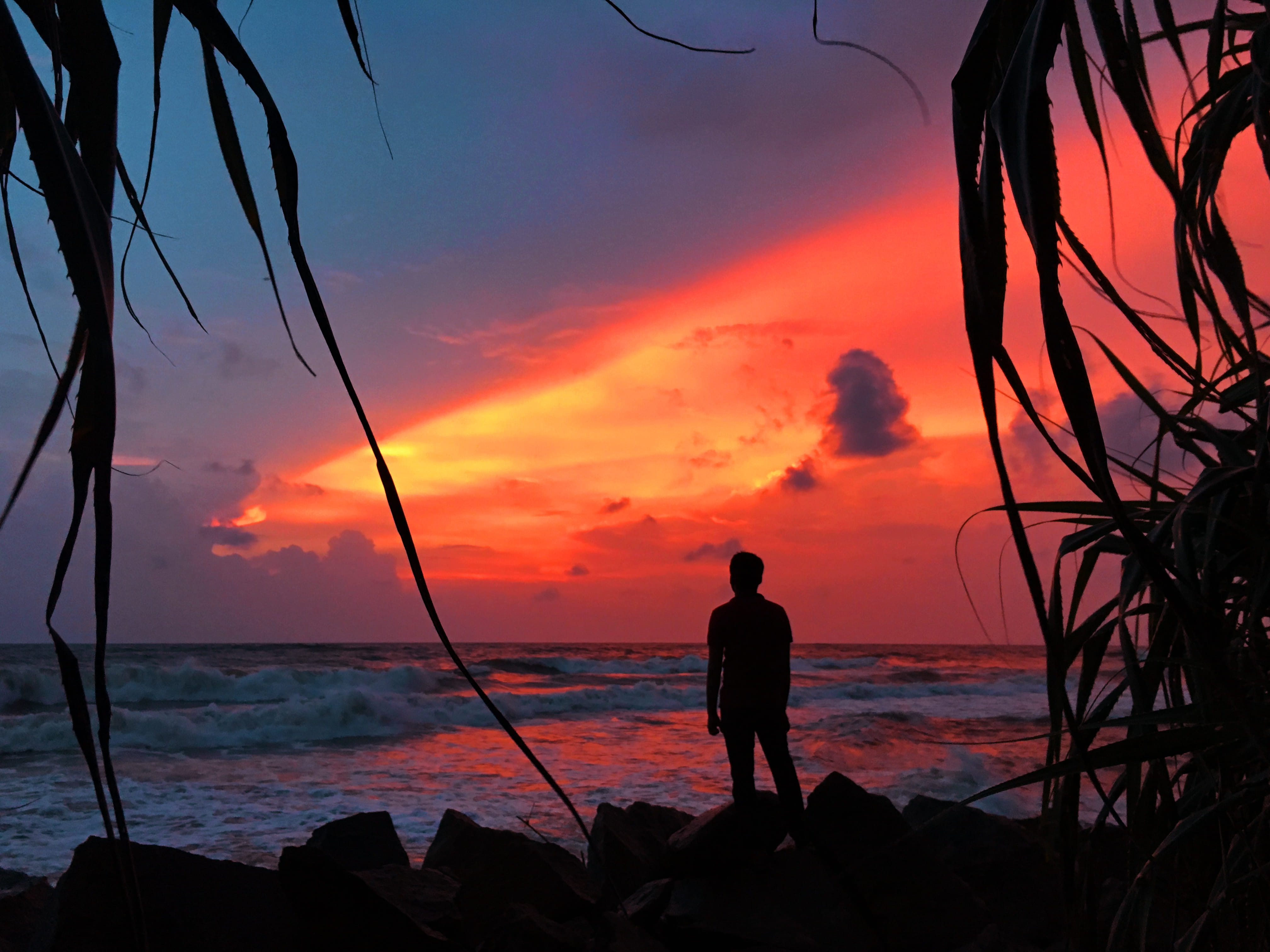 water, nature, silhouette, scenics - nature, men, leisure activity, orange color, sky, person, beauty in nature, real people, dusk, sunlight, sunset, beach, HD Wallpaper