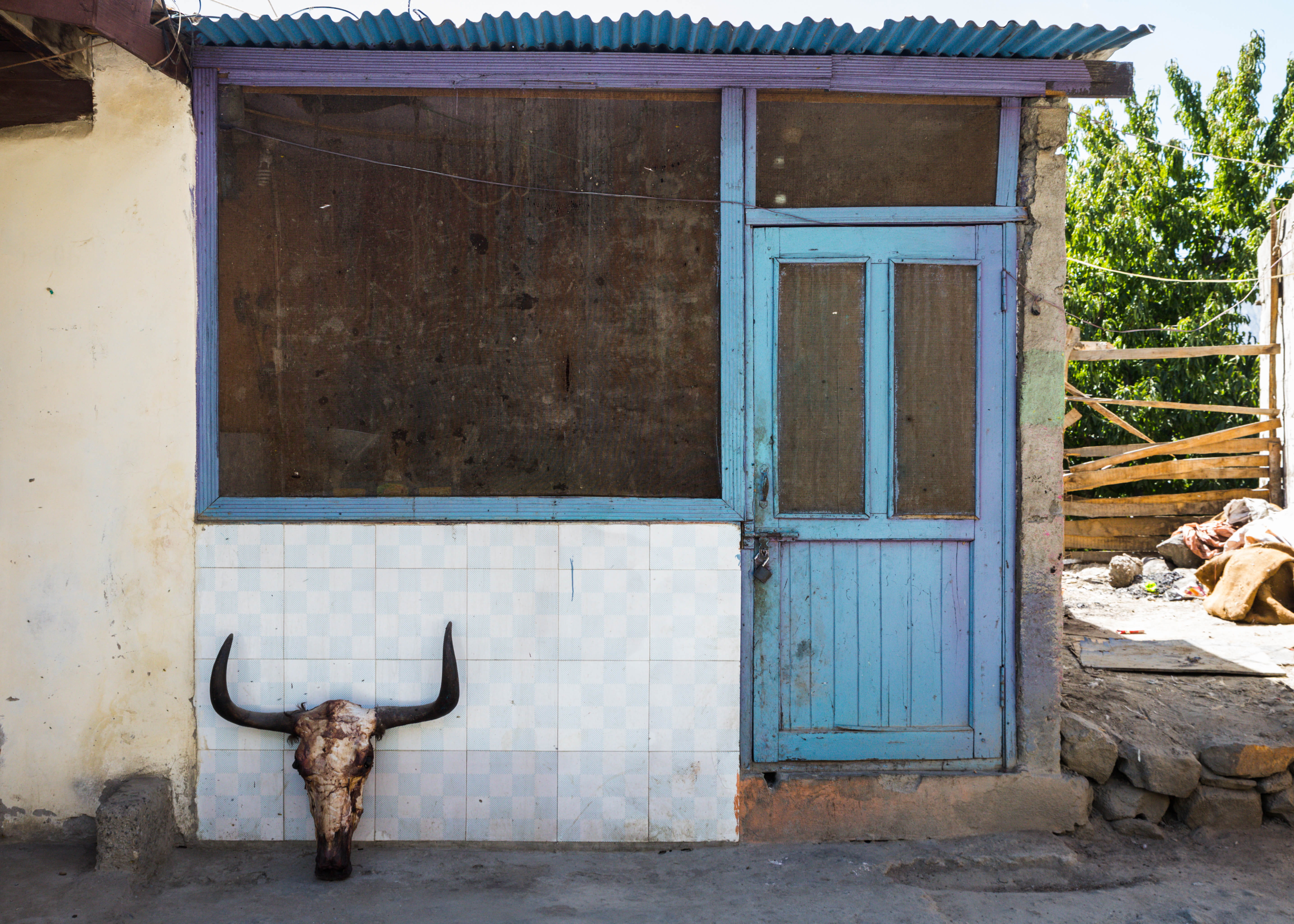 life, mammal, love, hunza, world, entrance, dead, nature, 5K, canon, colors, house, unsplash, work, street, horned, door, day, karimabad, pakistan, HD Wallpaper