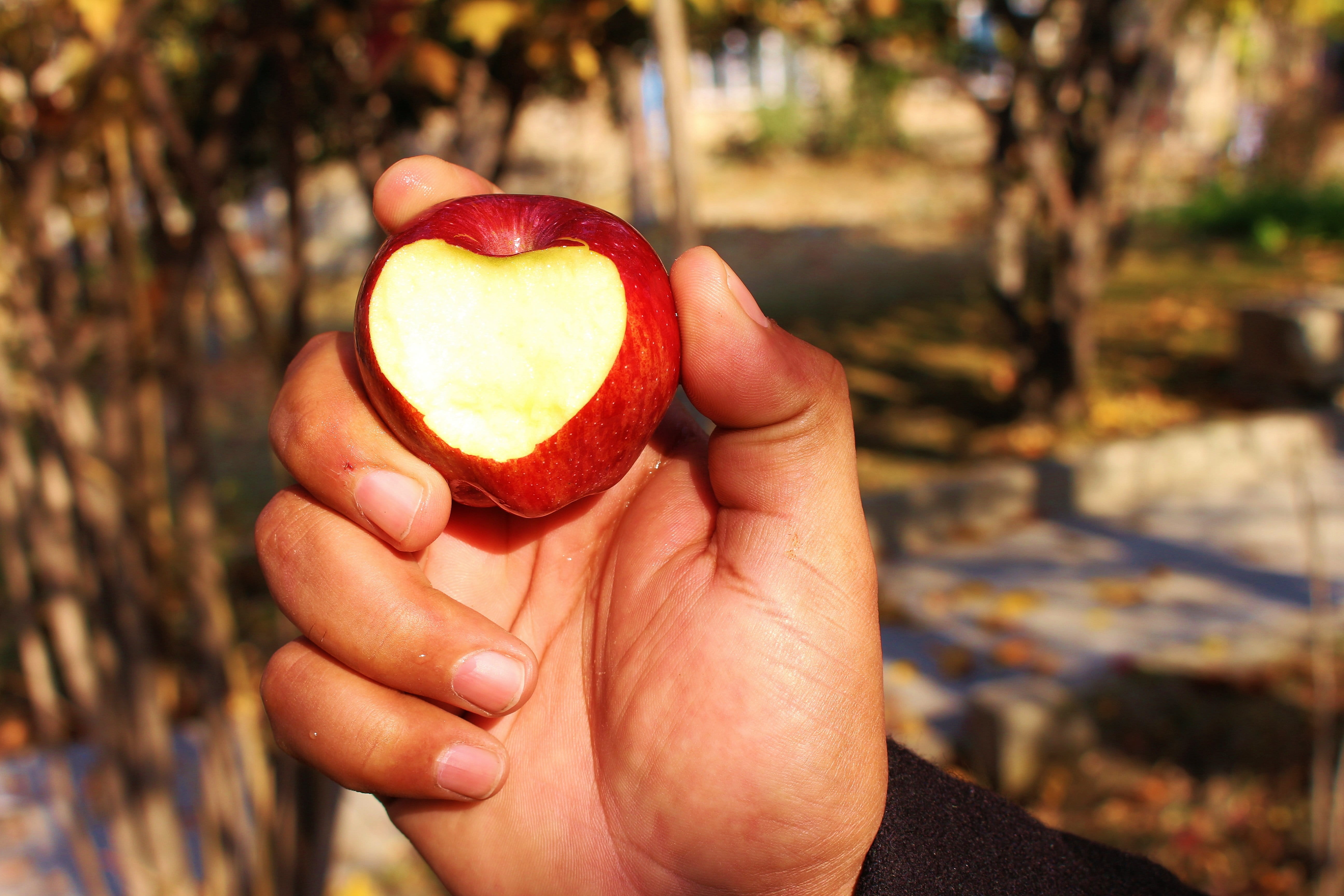 real people, focus on foreground, juicy, valentines day - holiday, hand, pakistan, day, wellbeing, lifestyles, Heart, country, Shape, apple - fruit, human finger, HD Wallpaper