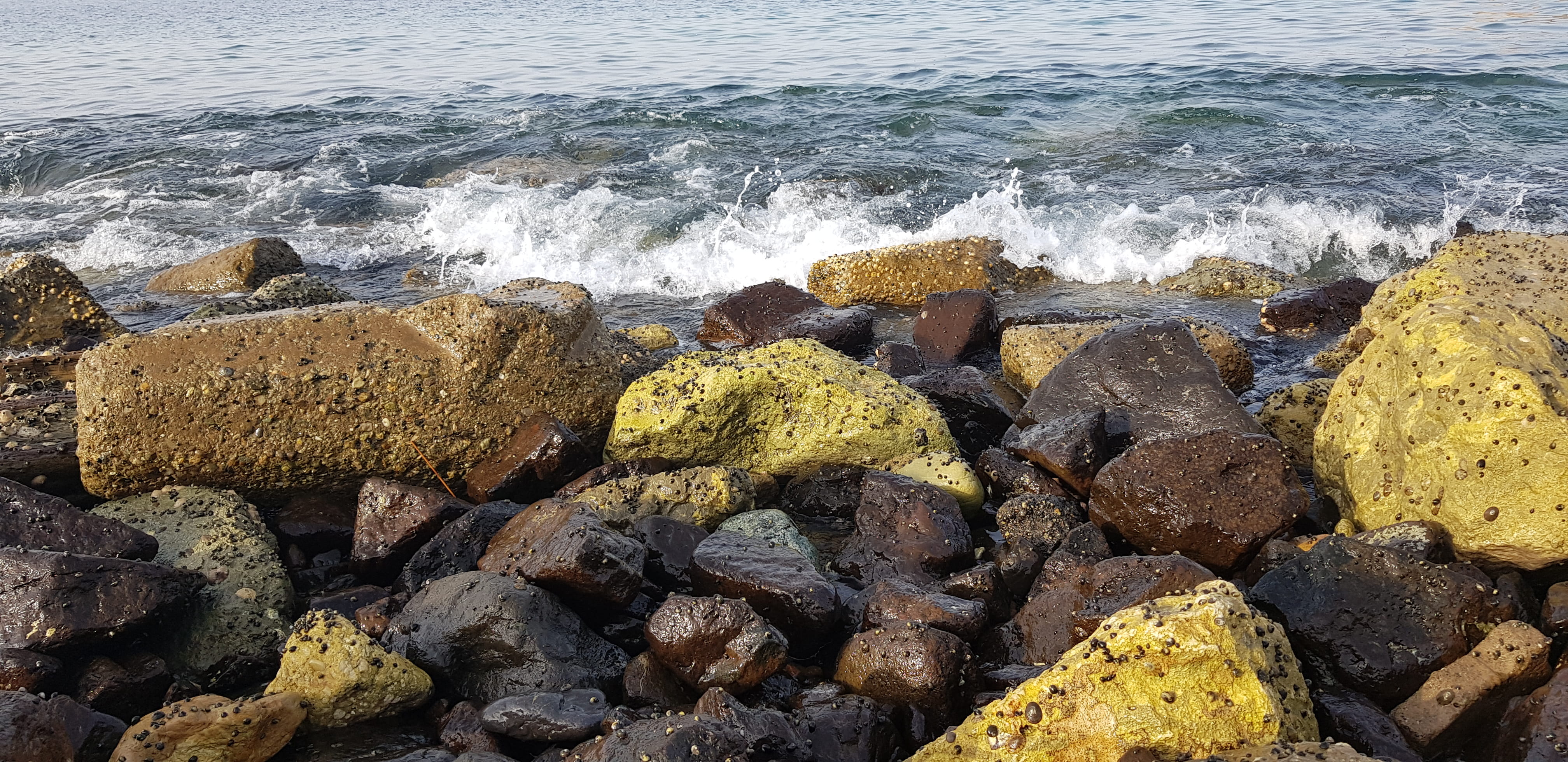 rock, high angle view, oman, land, day, motion, pebble, sport, rock - object, no people, 4K, aquatic sport, water, wave, solid, beauty in nature, rocky coastline, HD Wallpaper